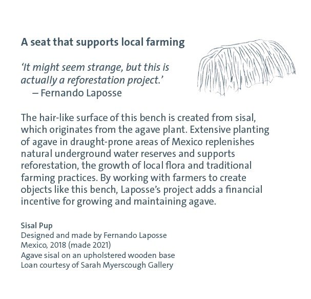 Fernando Laposse label.jpg