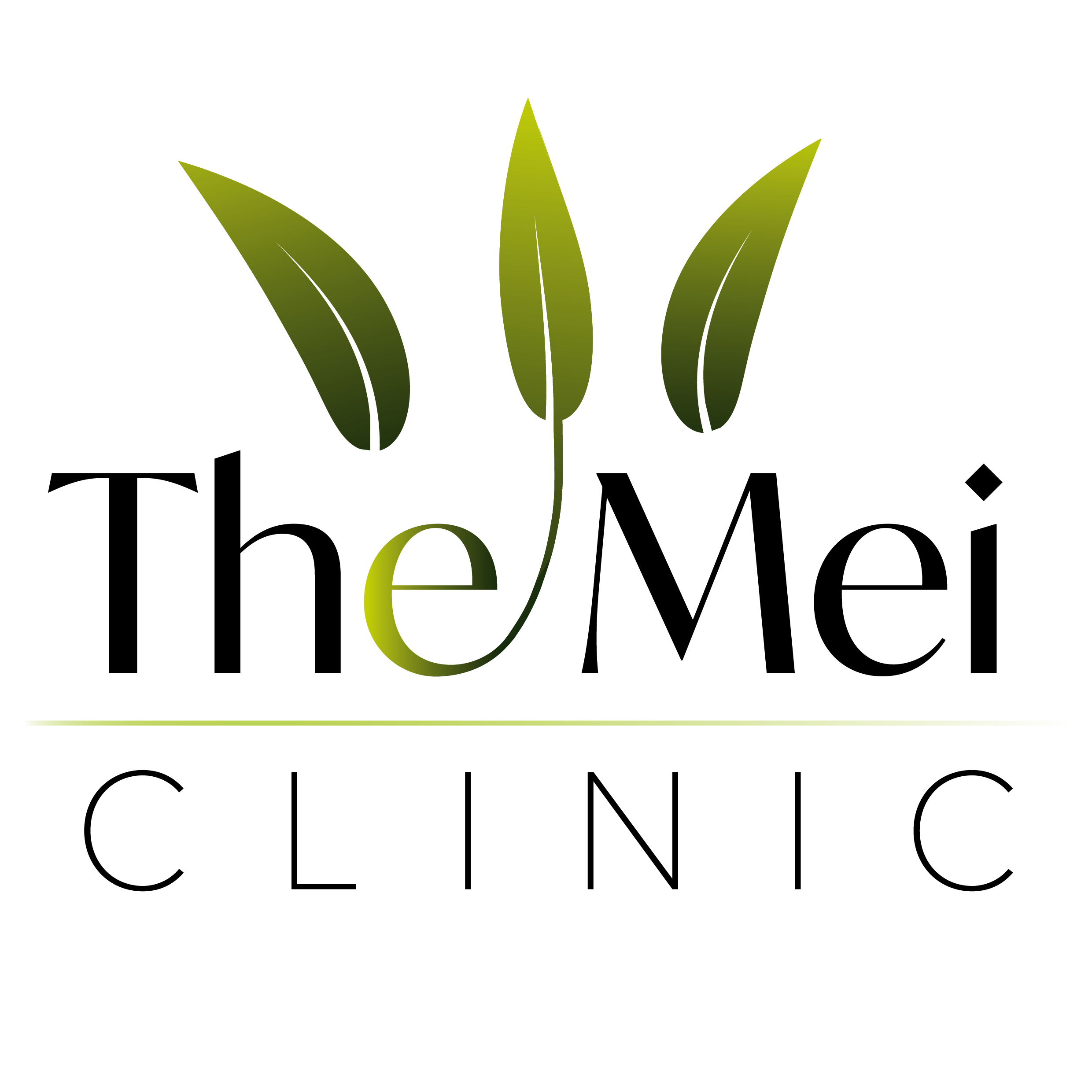 Logo with three green leaves forming a stylized 'e,' labeled 'exoticindo nursery,' on a black background.