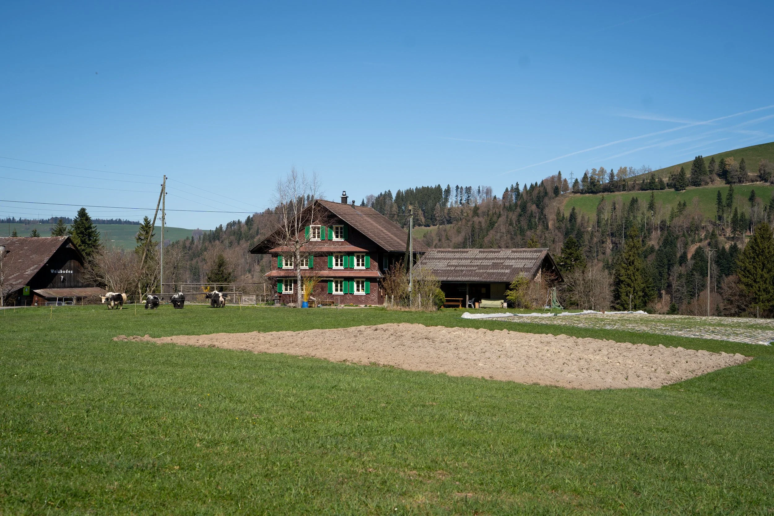 Yakhof Weidboden_Anita Bachmann-21.jpg