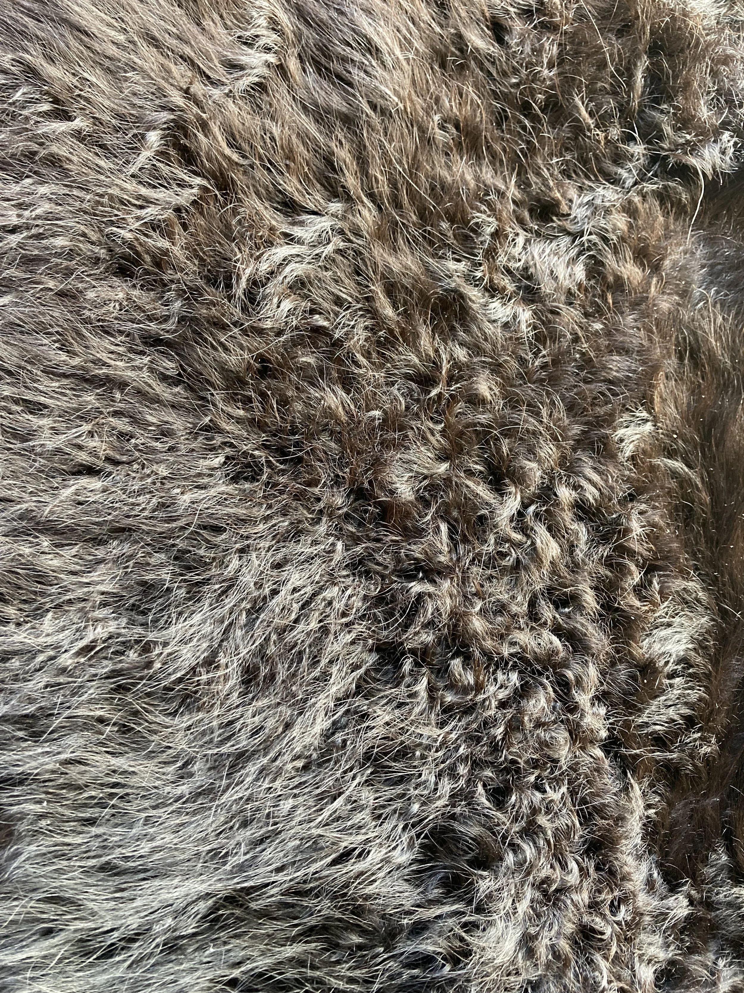 Fell Lhamo detail.jpg