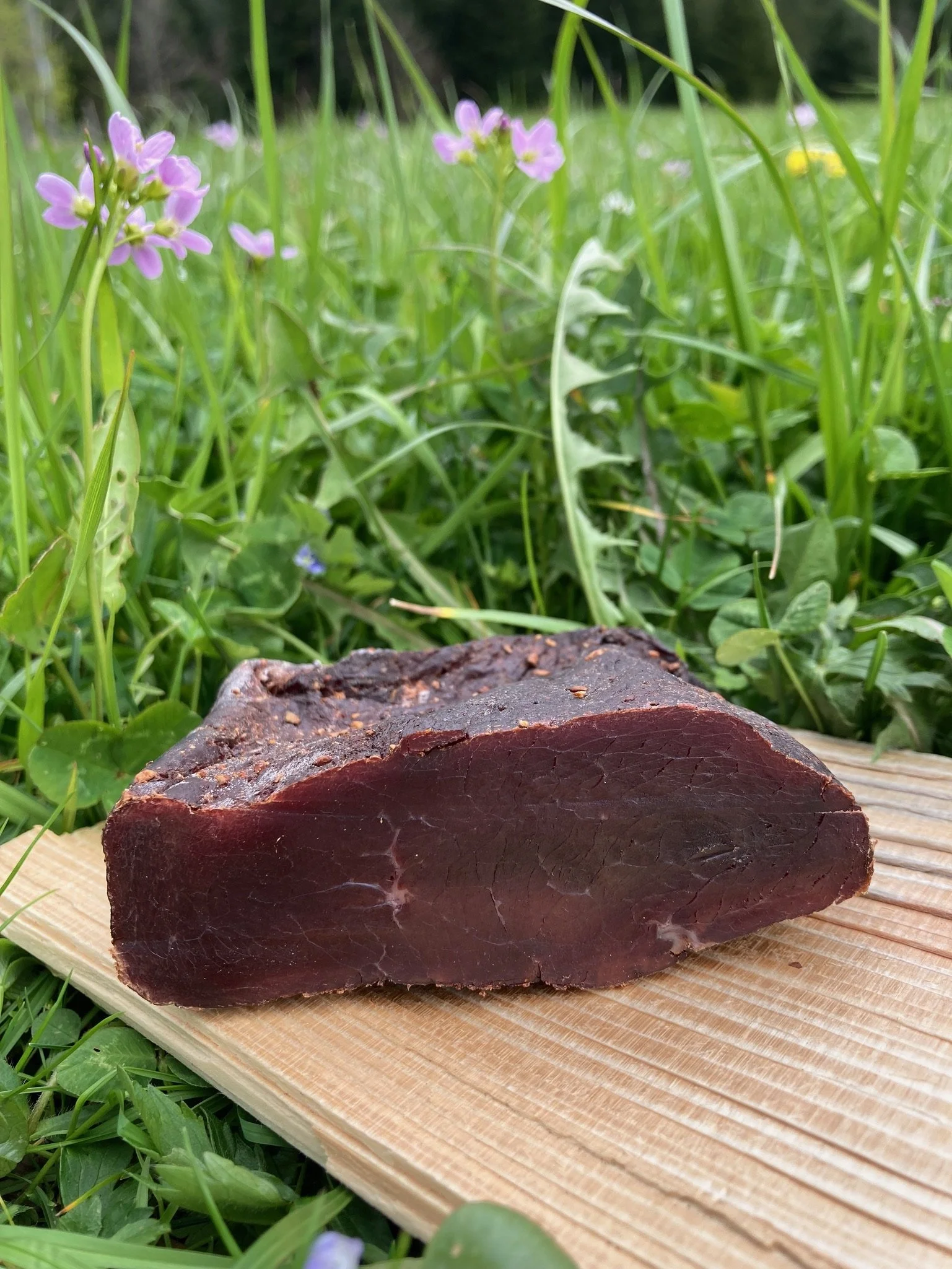 bioyakhof-weidboden-yakfleisch.JPG