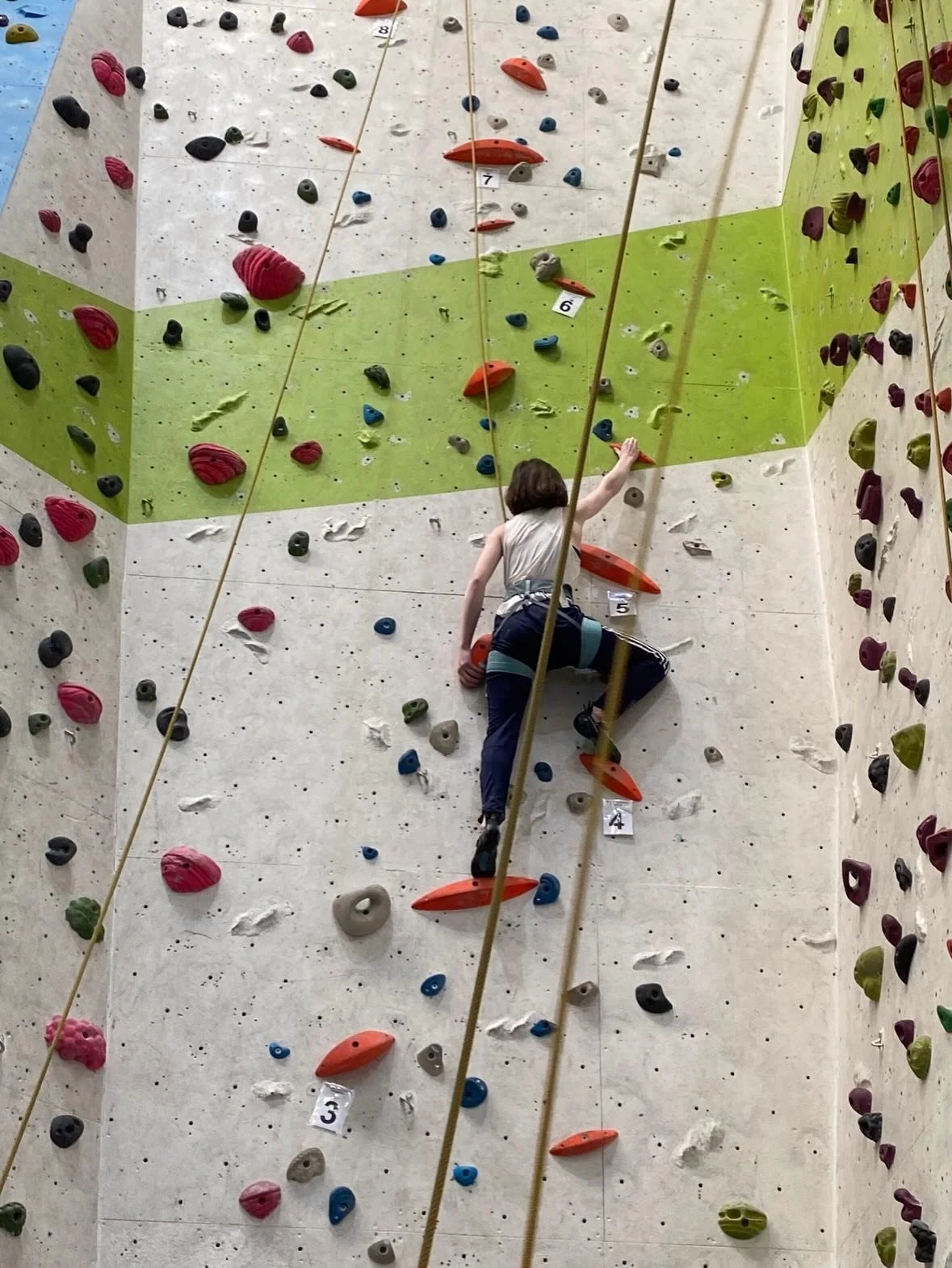 climbing 1.jpg