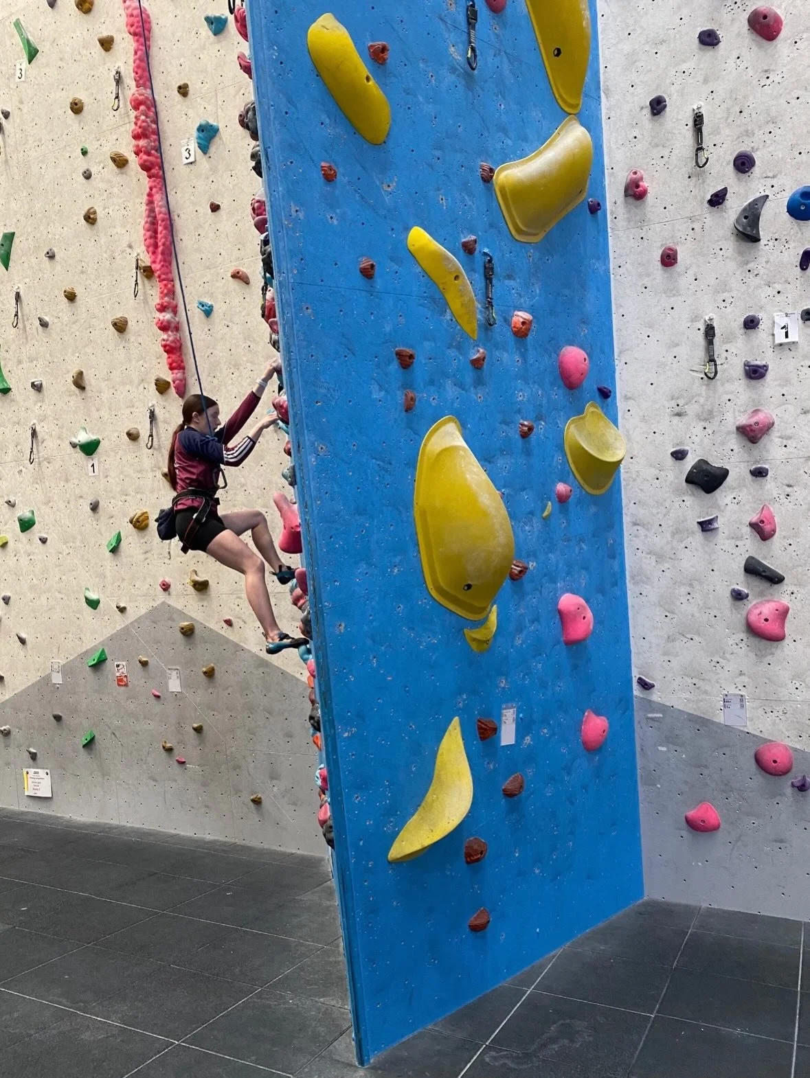 climbing 2.jpg