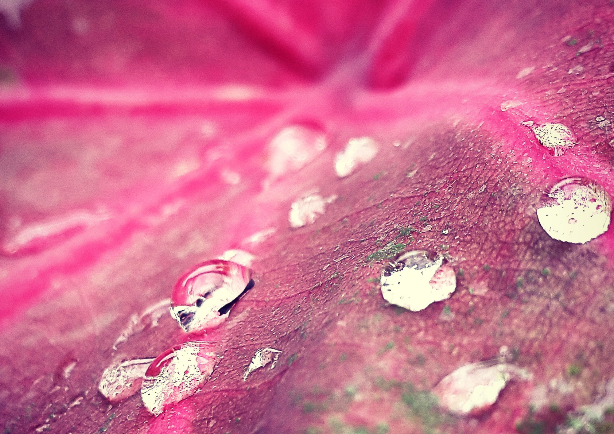 MDMA Isn’t the Magic Pill You Think It Is