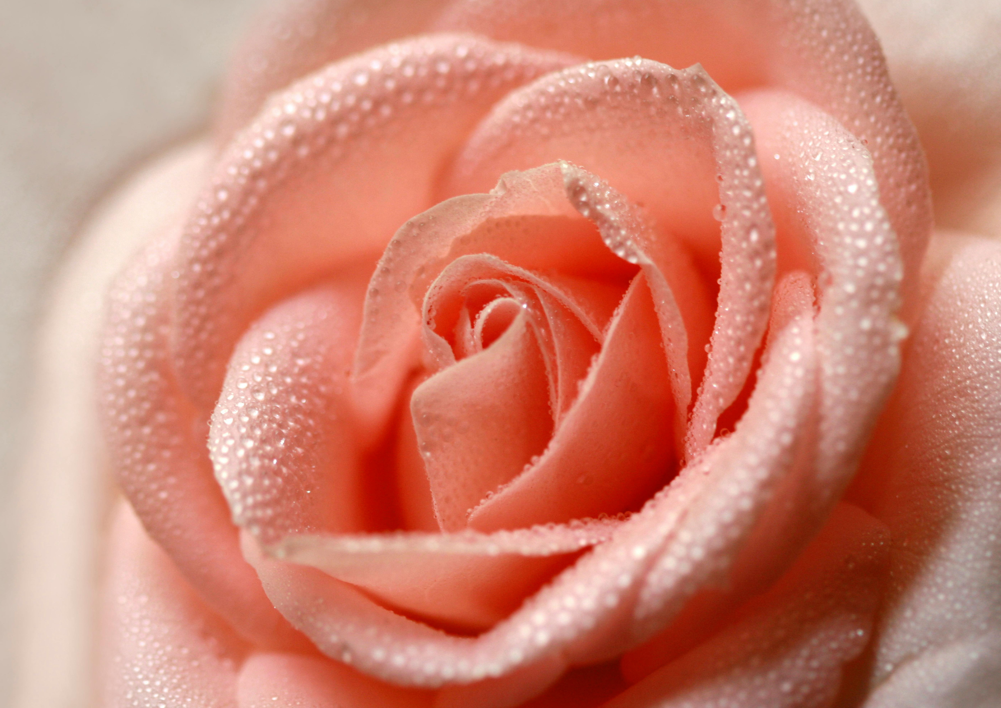 Women Who Feel Too Much: When Sensitivity Is Misunderstood