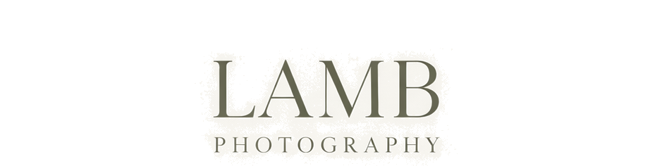 Lamb Photography