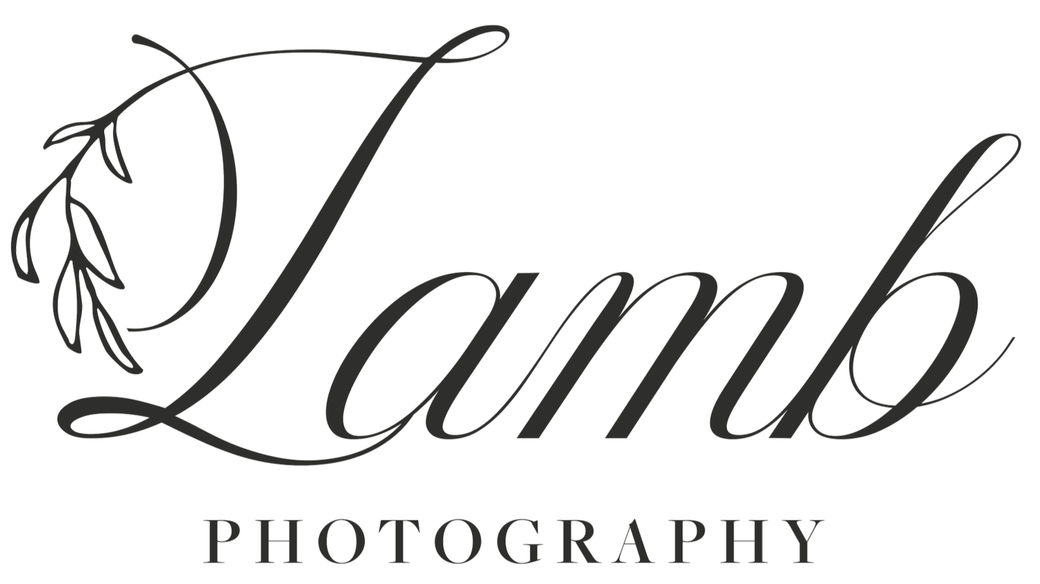 Lamb Photography