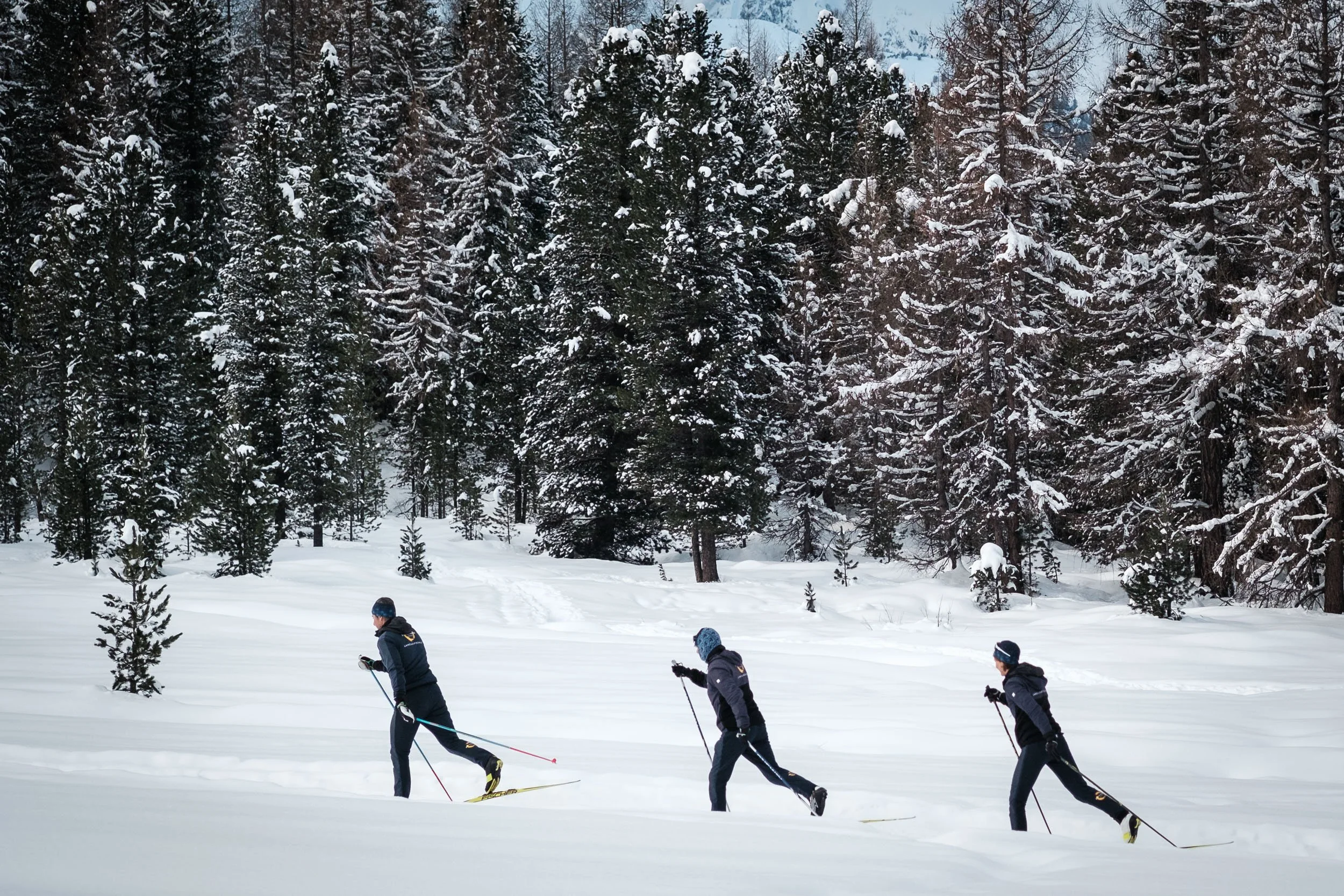 fixcoach-langlaufschule-coaching-pontresina-schweiz-7.jpg