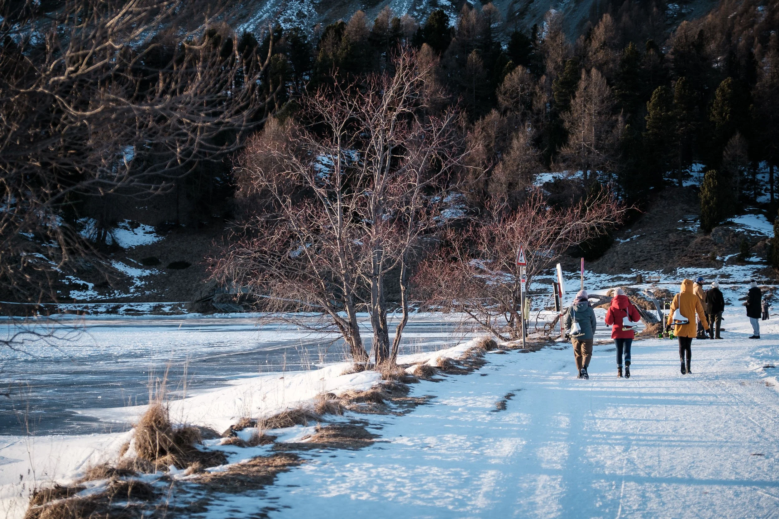 silsersee-schwarzeis-winter-engadin-schweiz-6.jpg