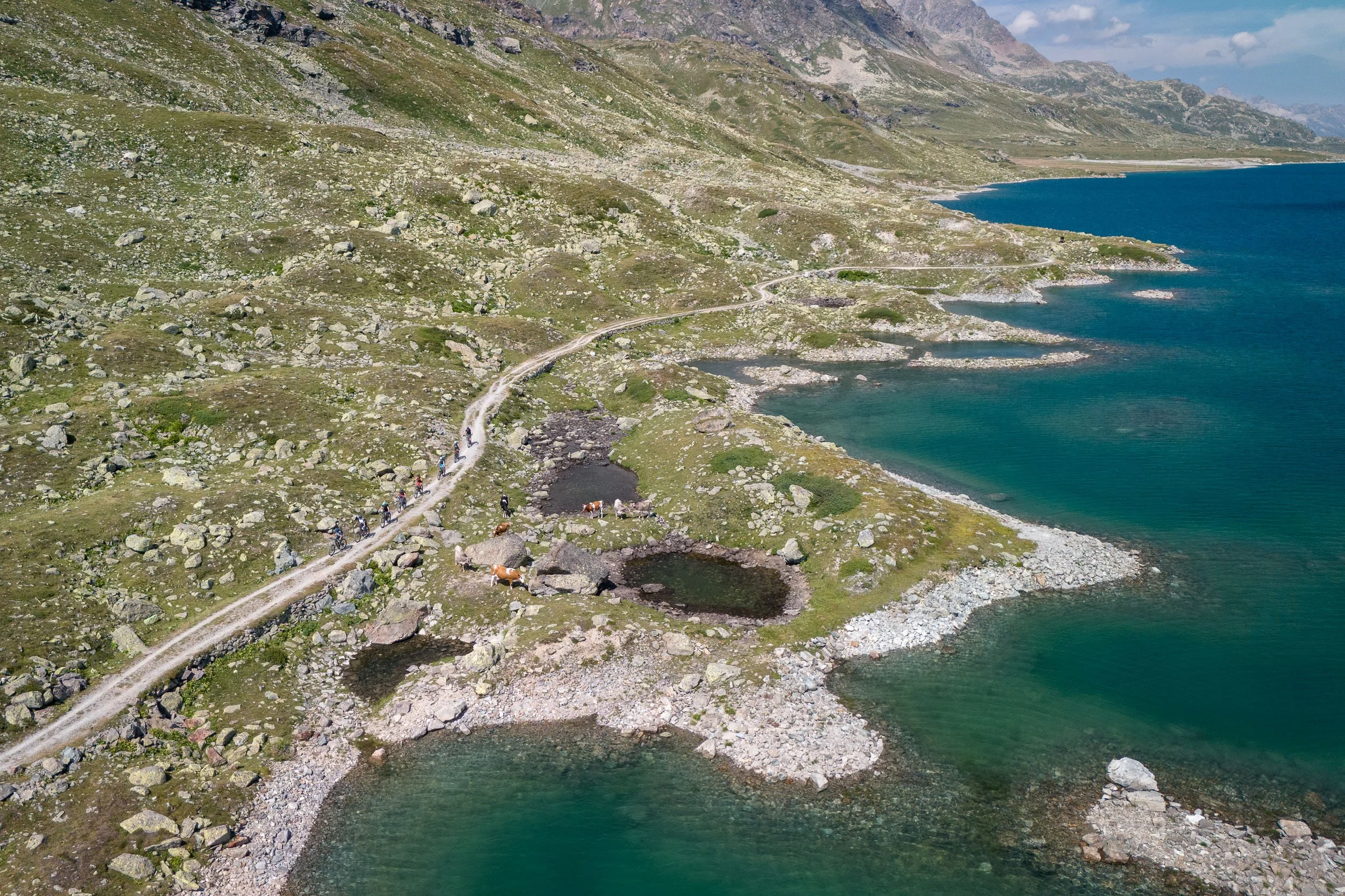 las-ciclistas-mtb-frauen-engadin-schweiz-4.jpg
