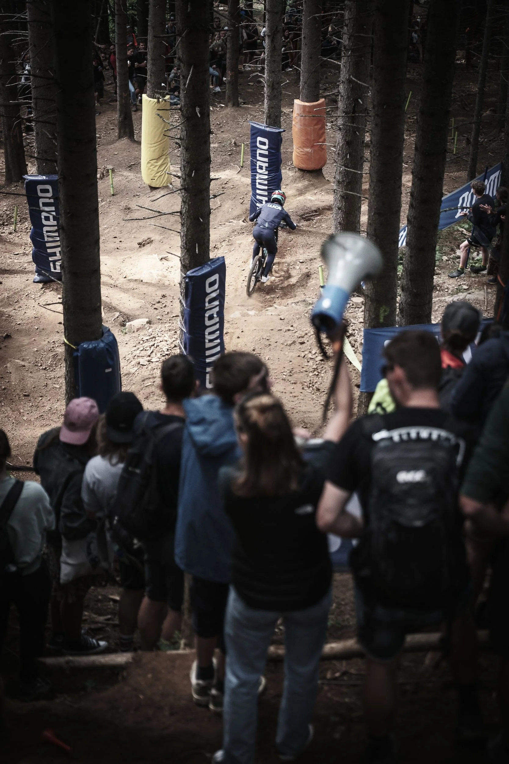 mtb-downhill-wc-lenzerheide-schweiz-14.jpg