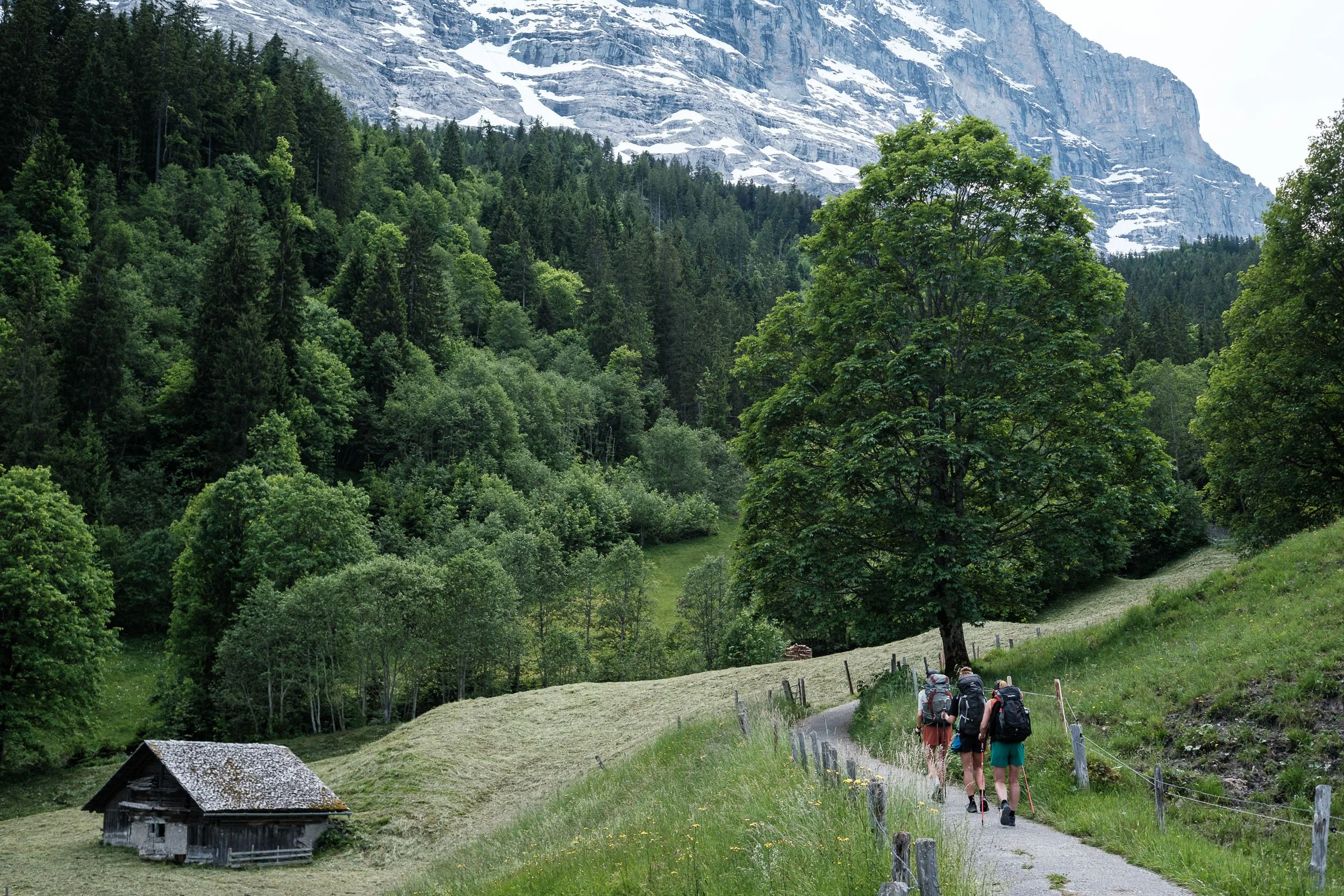 peakperformance-trailblazers-grindelwald-schweiz-18.jpg