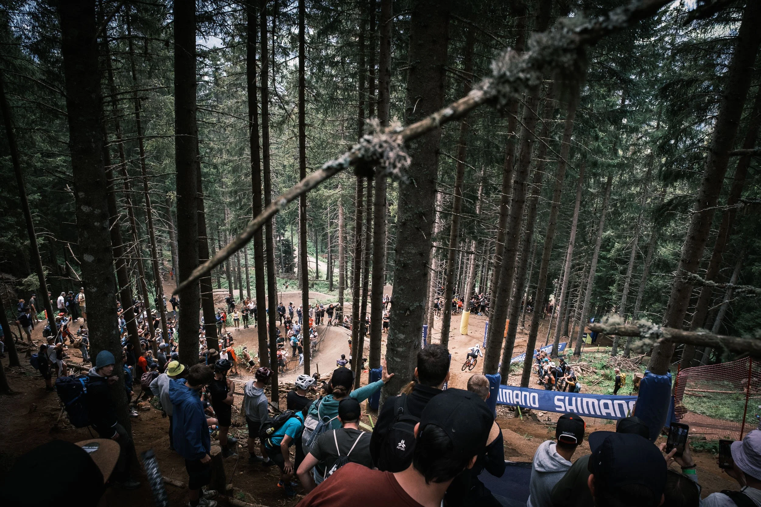 mtb-downhill-wc-lenzerheide-schweiz-15.jpg