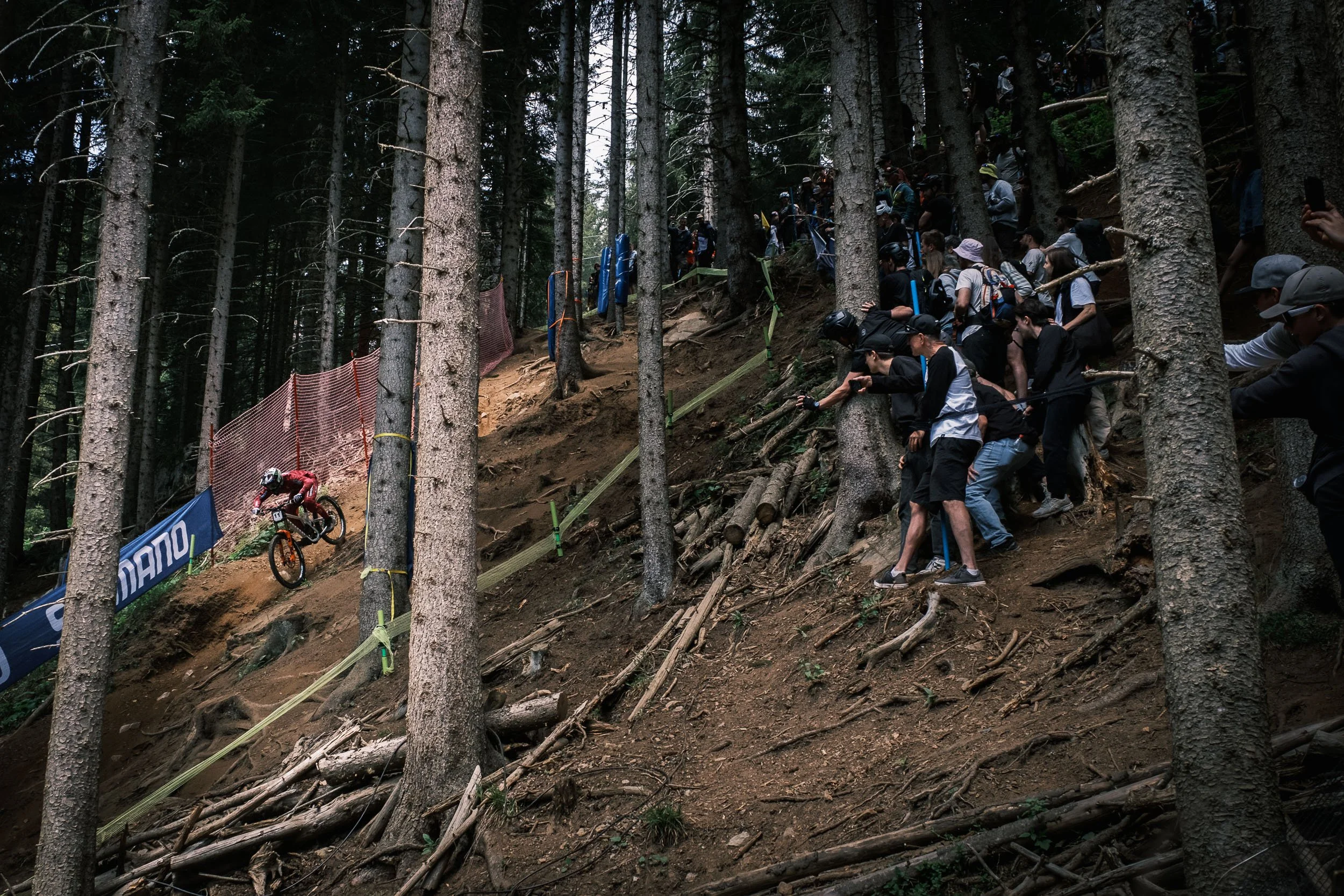 mtb-downhill-wc-lenzerheide-schweiz-16.jpg