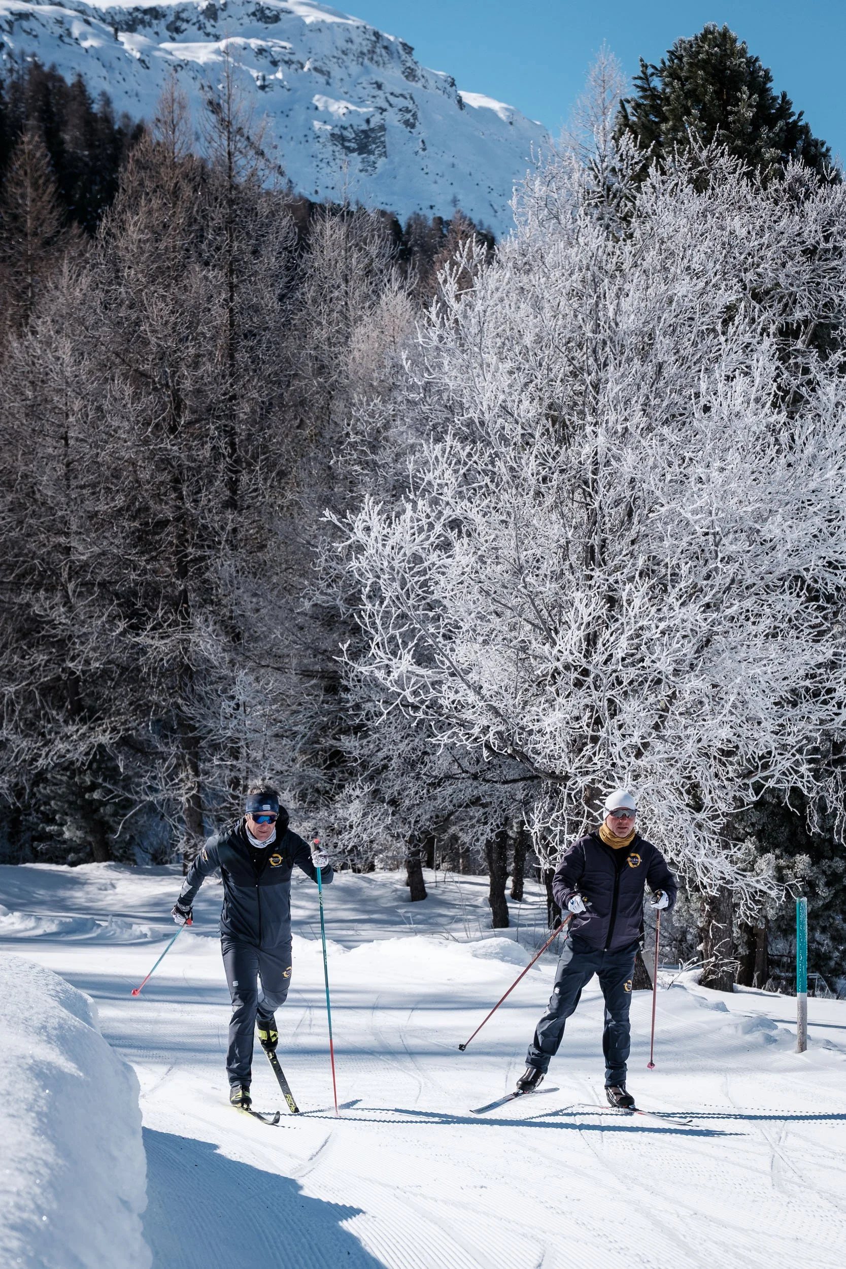fixcoach-langlaufschule-coaching-pontresina-schweiz-22.jpg