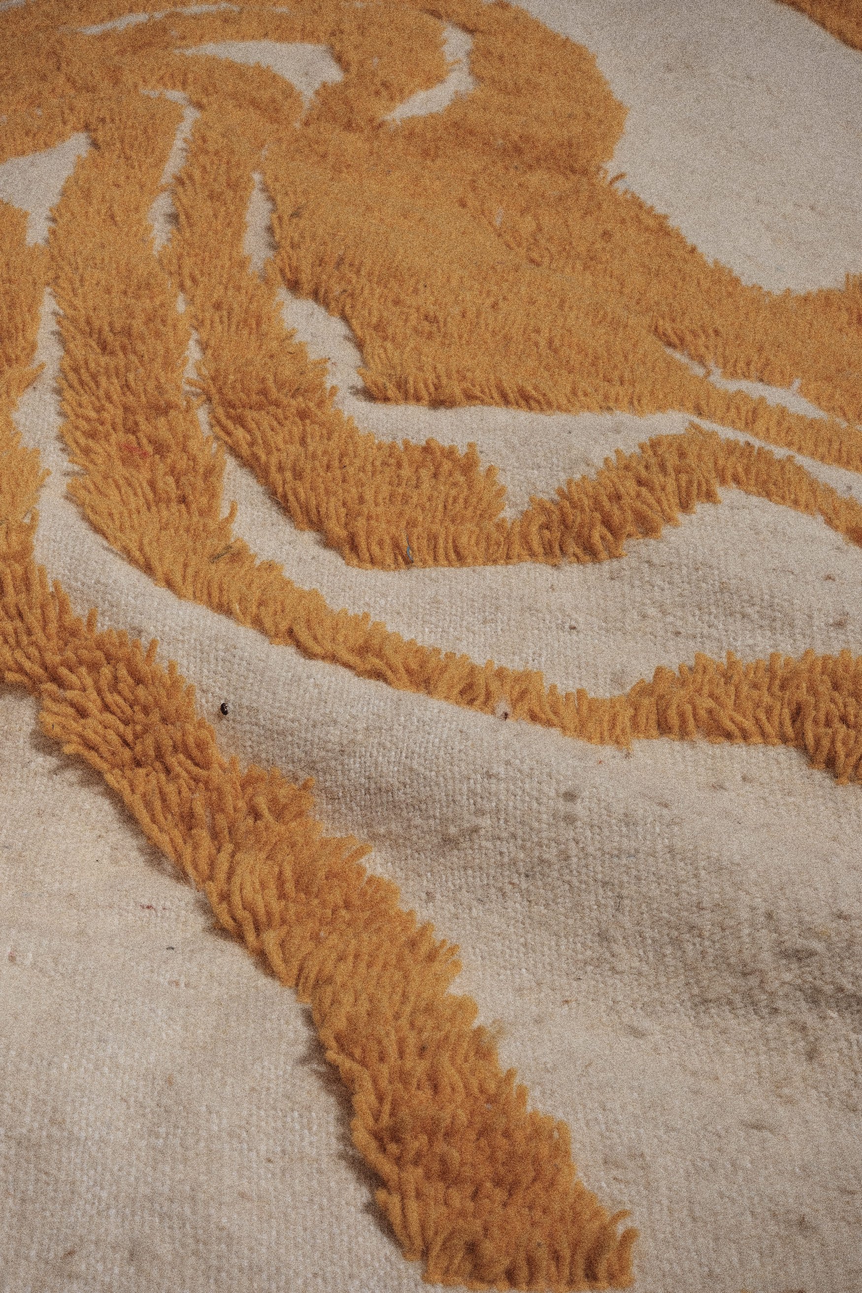 Tapis_240110_04.jpg