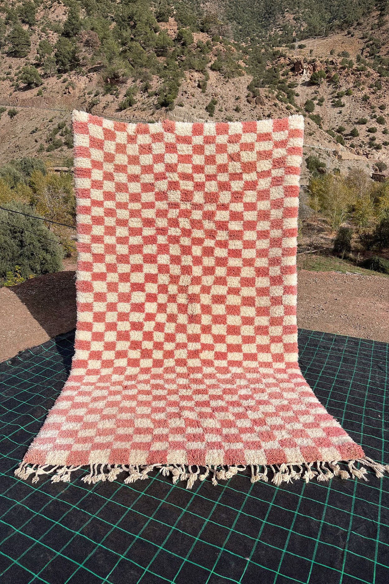 Tapis_240120_01.jpg