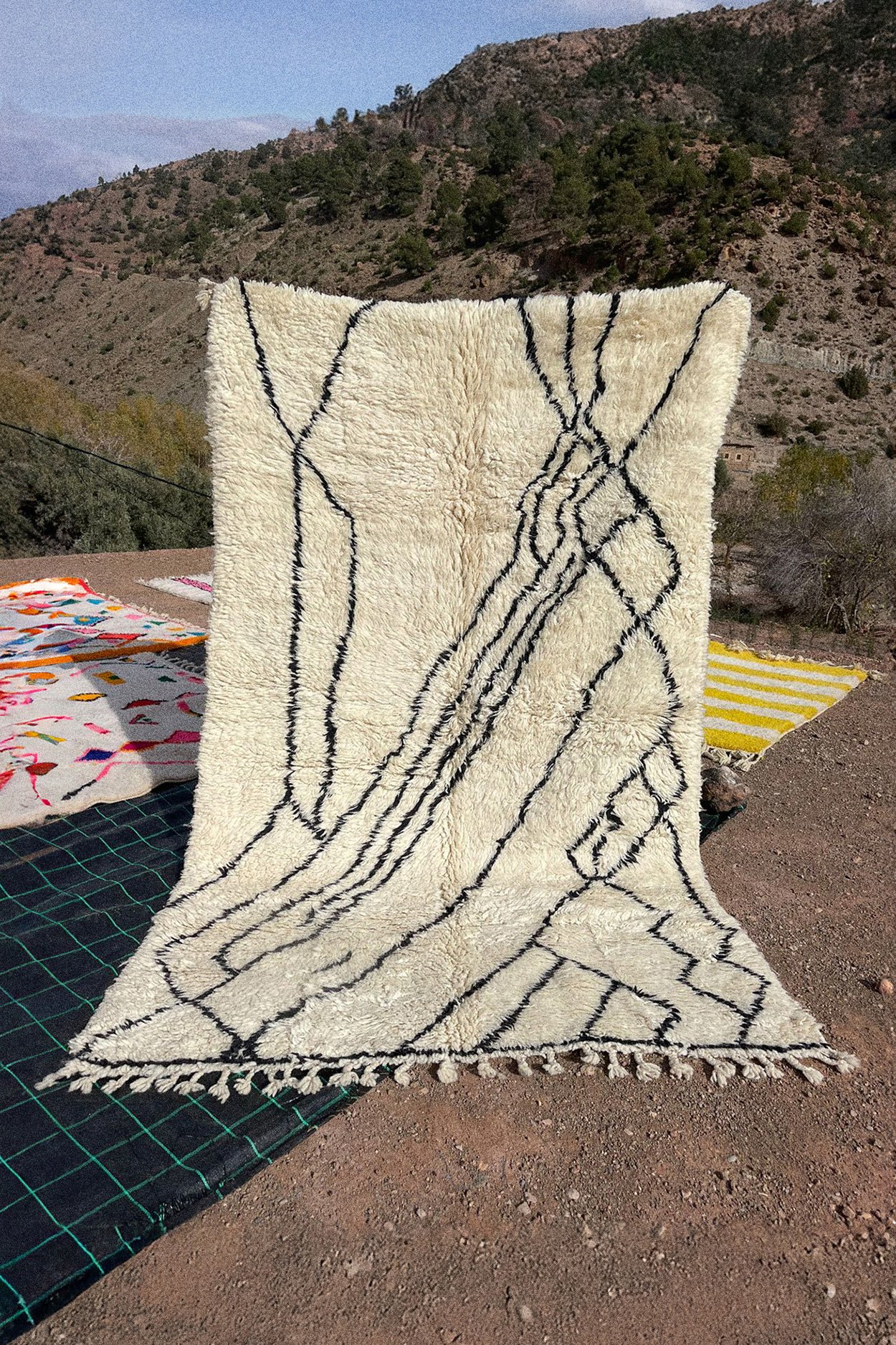 Tapis_240116_06.jpg