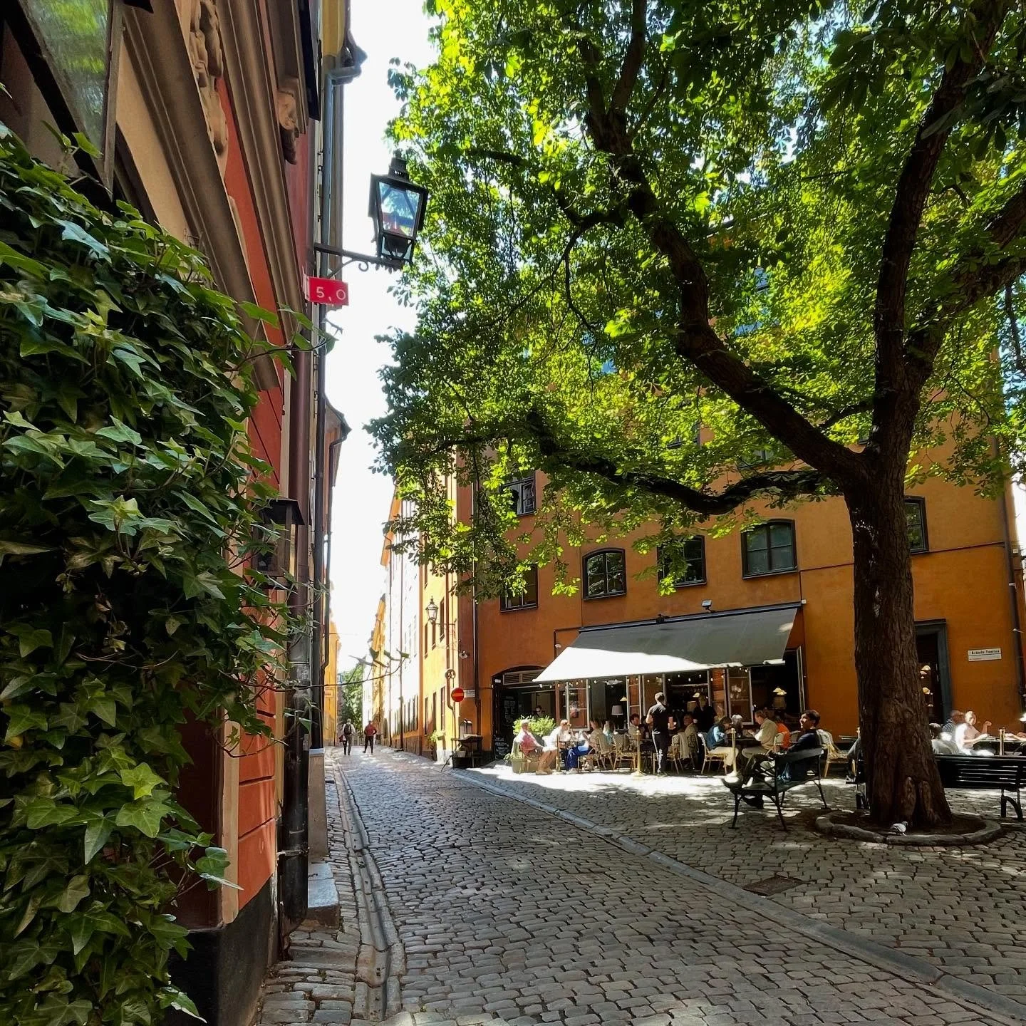 Gamla stan blomstrar verkligen nu!! 🌸☀️
Ja tack - till att sitta p&aring; @underkastanjen uteservering, dricka ros&eacute; och &auml;ta gott 🥰