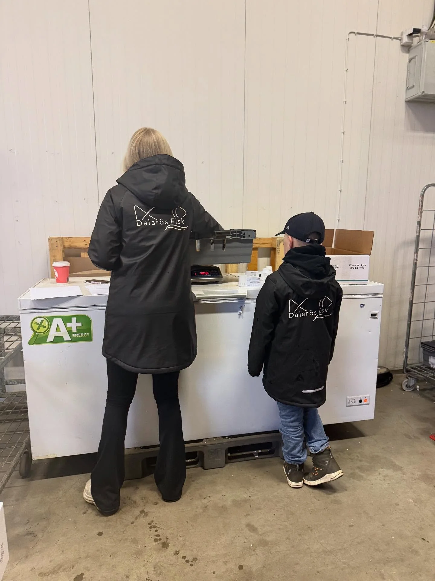 Ni vet v&auml;l att vi p&aring; Dalar&ouml;s fisk &auml;r ett familjef&ouml;retag? 🫶🏻

H&ouml;stlov denna vecka s&aring; d&aring; hoppar bossen Alfons in👊🏼

#dalar&ouml;sfisk #familjef&ouml;retag #grossistf&ouml;retag #stockholm #uppsala