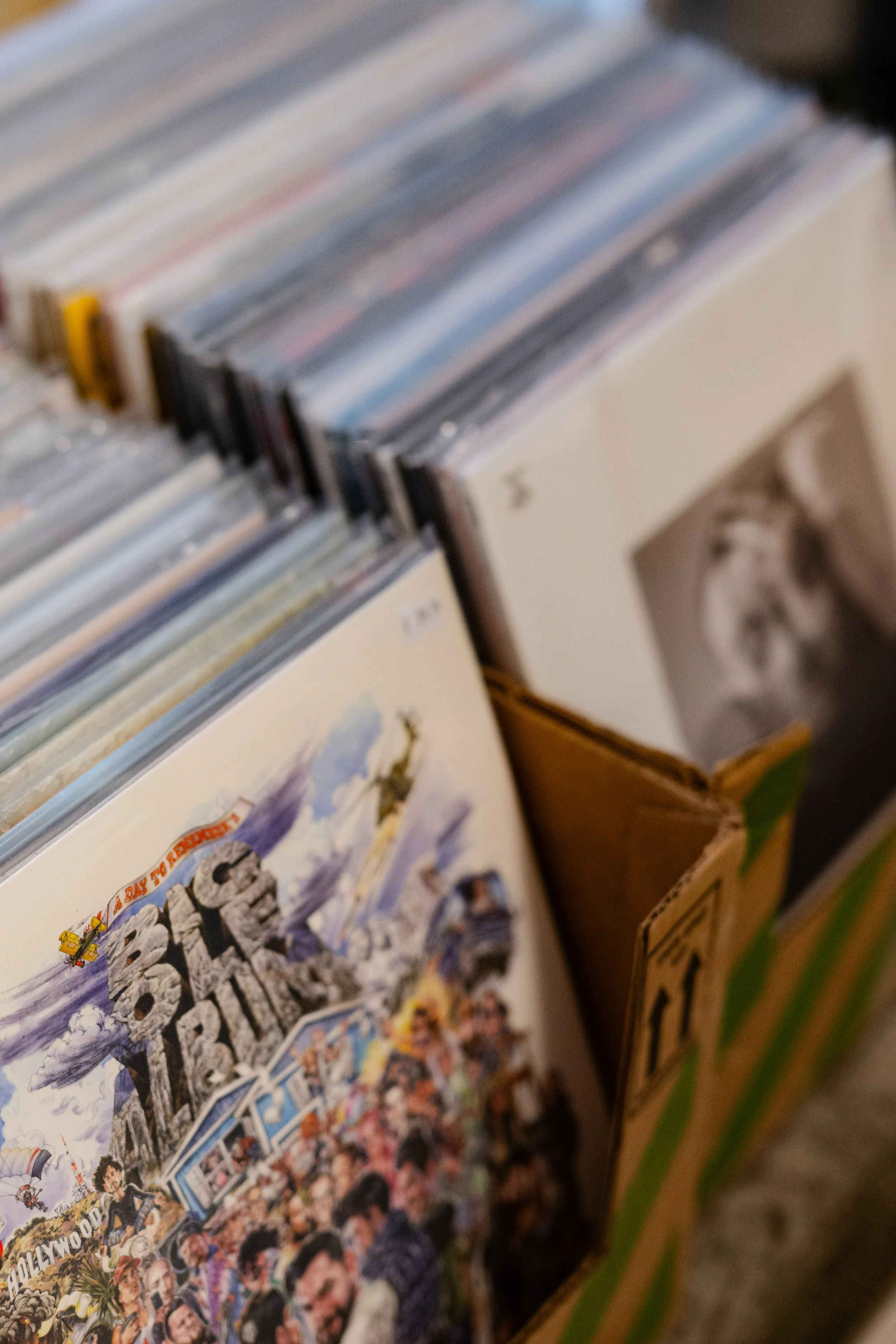A collection of new vinyl