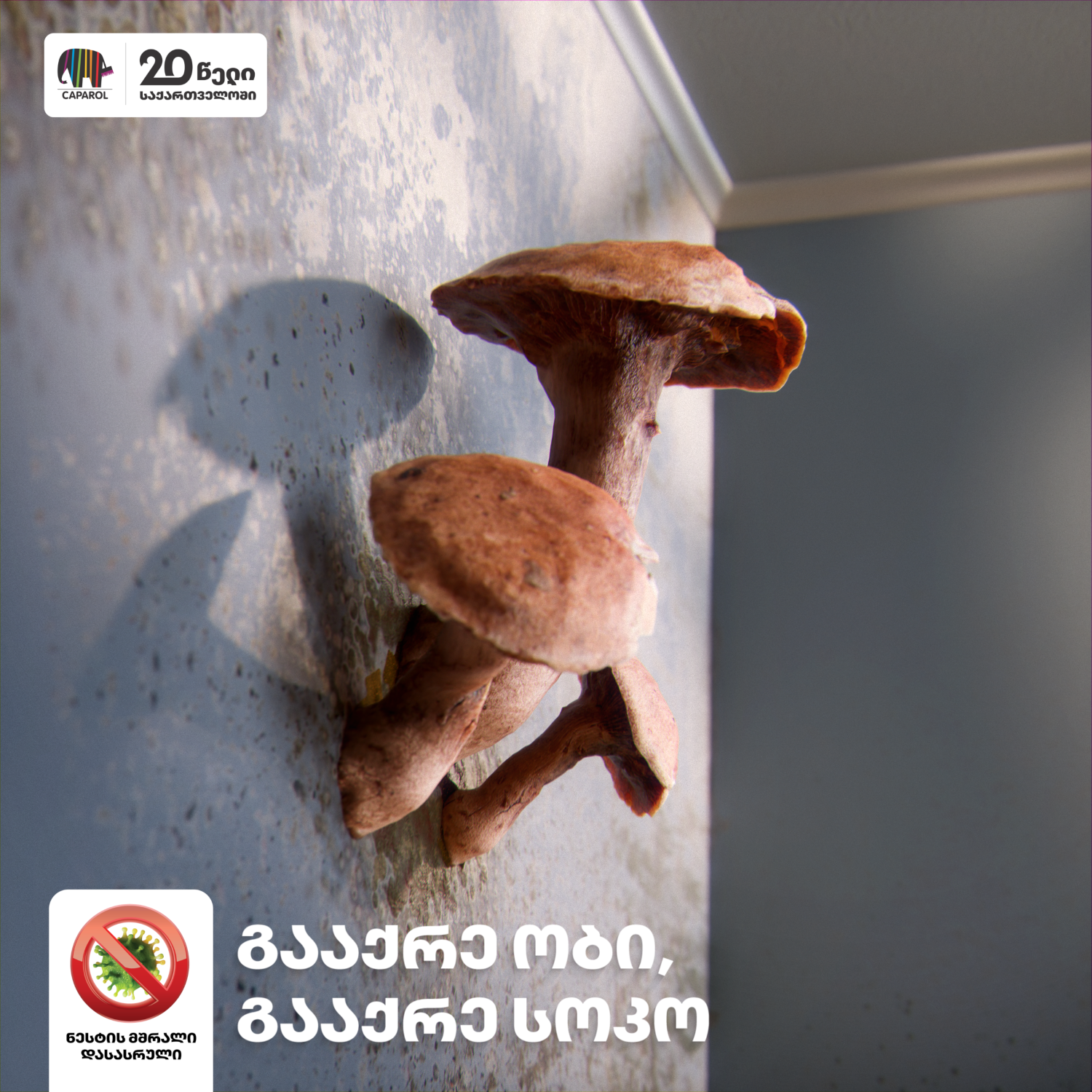 render_shvidi_Edited_00 (Custom).png