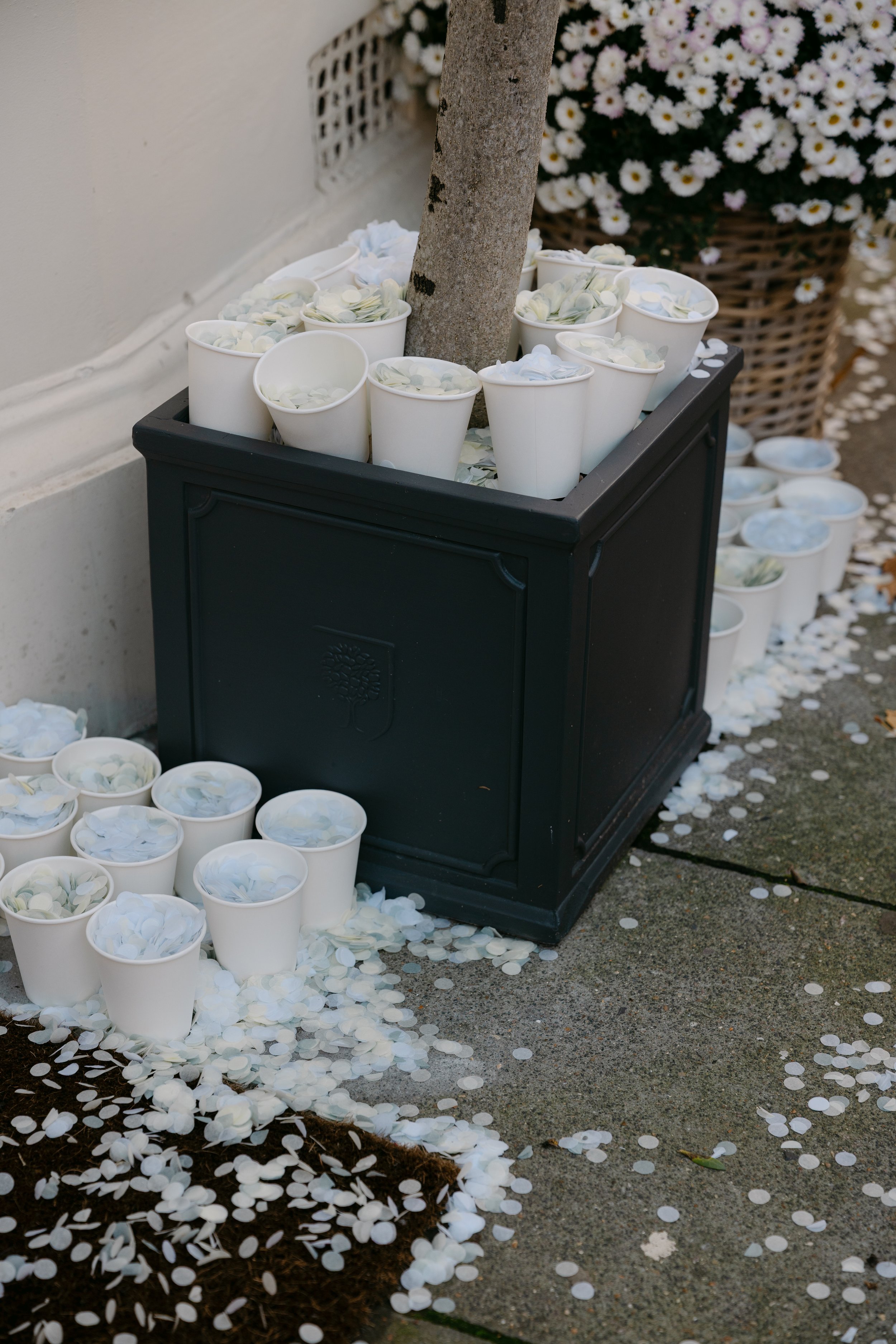 ROSALIE VOORTMAN - STEFANI & EDOUARD-360.jpg