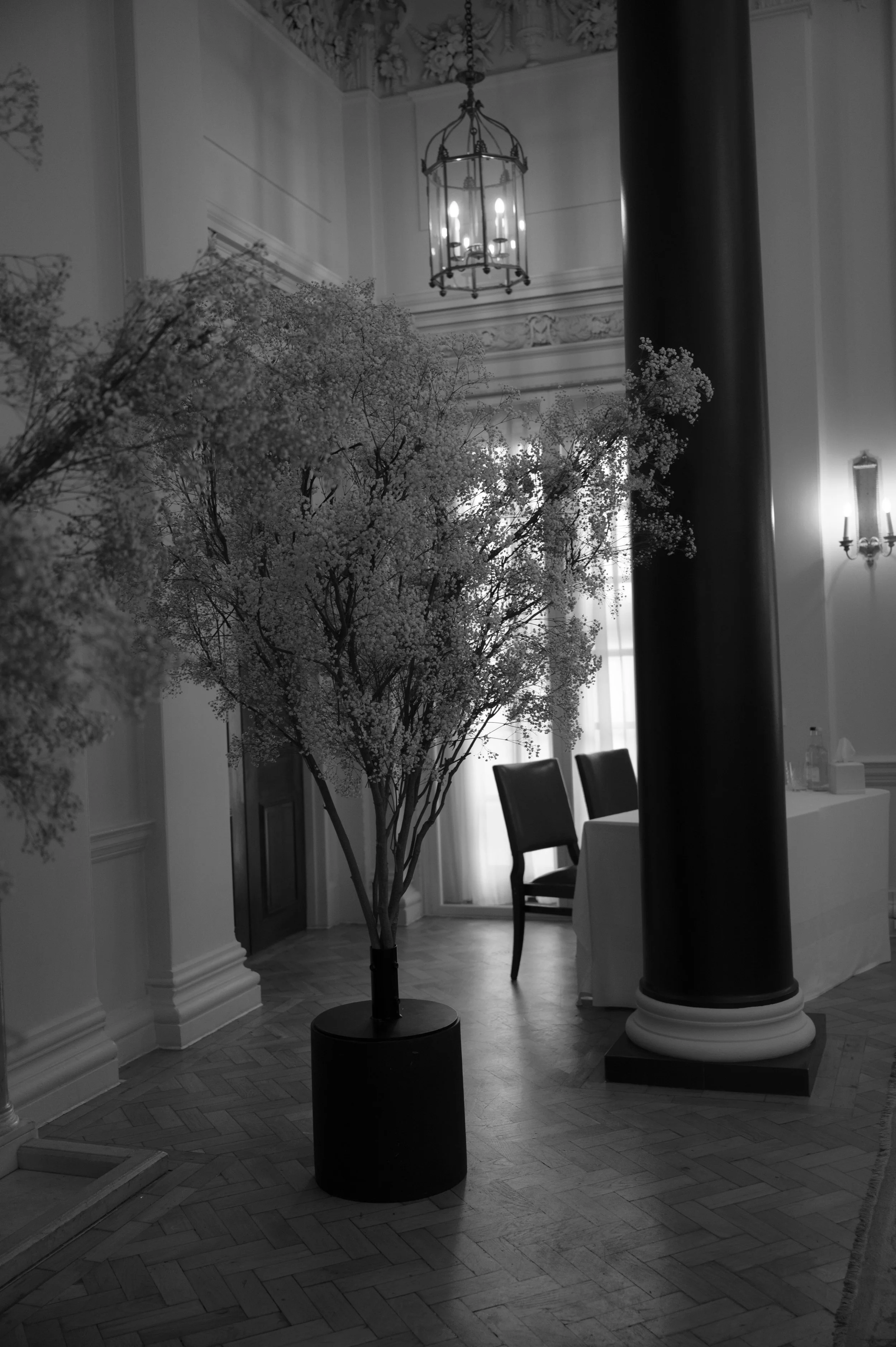 ROSALIE VOORTMAN - STEFANI & EDOUARD-204.jpg