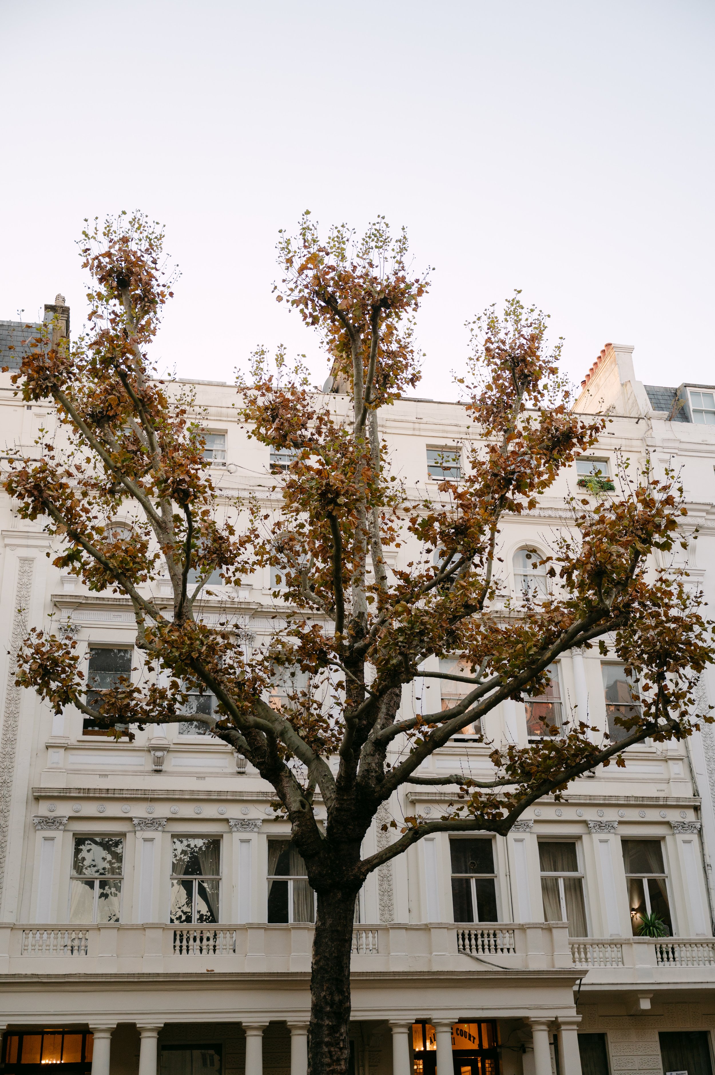 ROSALIE VOORTMAN - STEFANI & EDOUARD-441.jpg