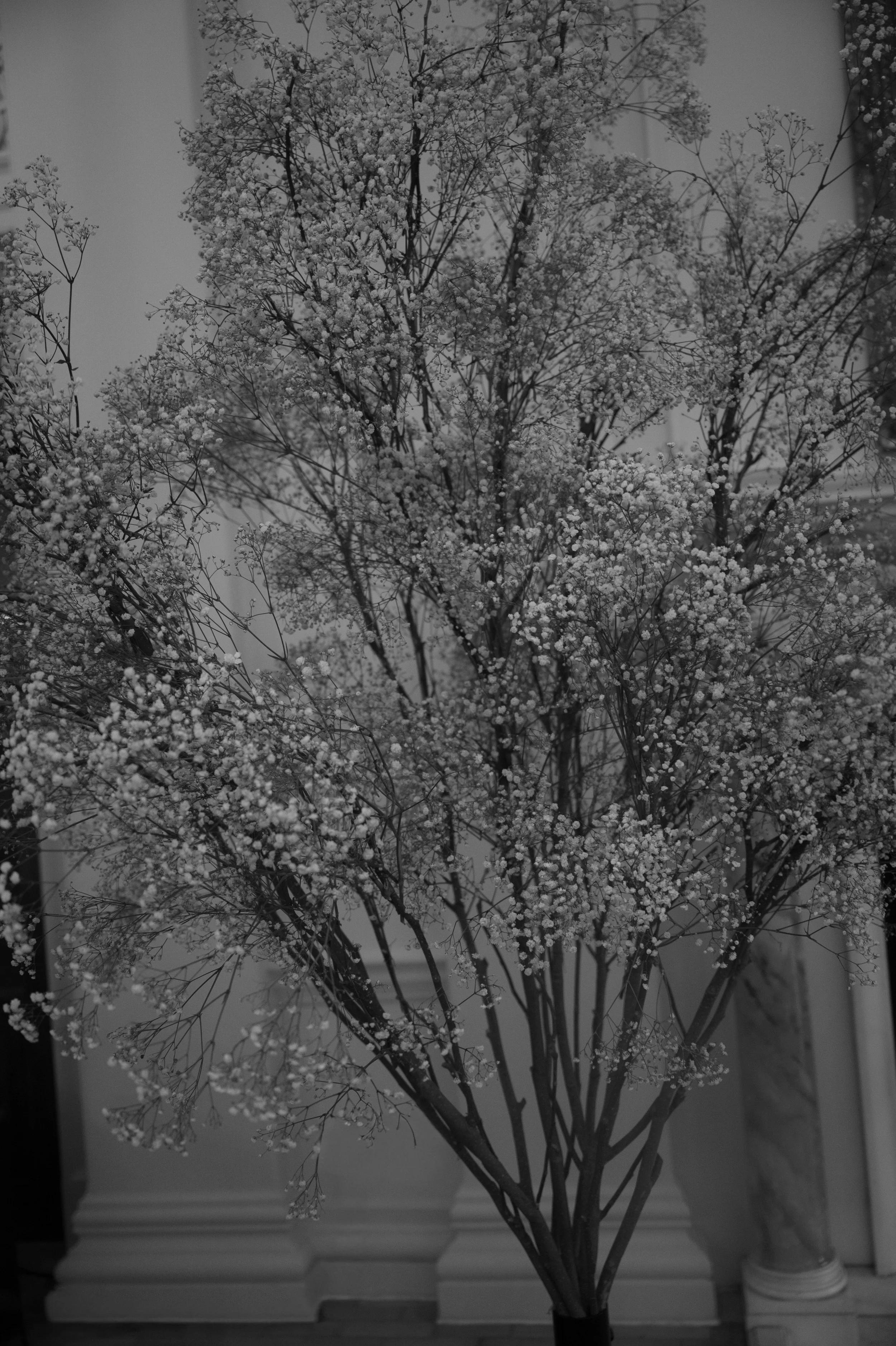 ROSALIE VOORTMAN - STEFANI & EDOUARD-203.jpg