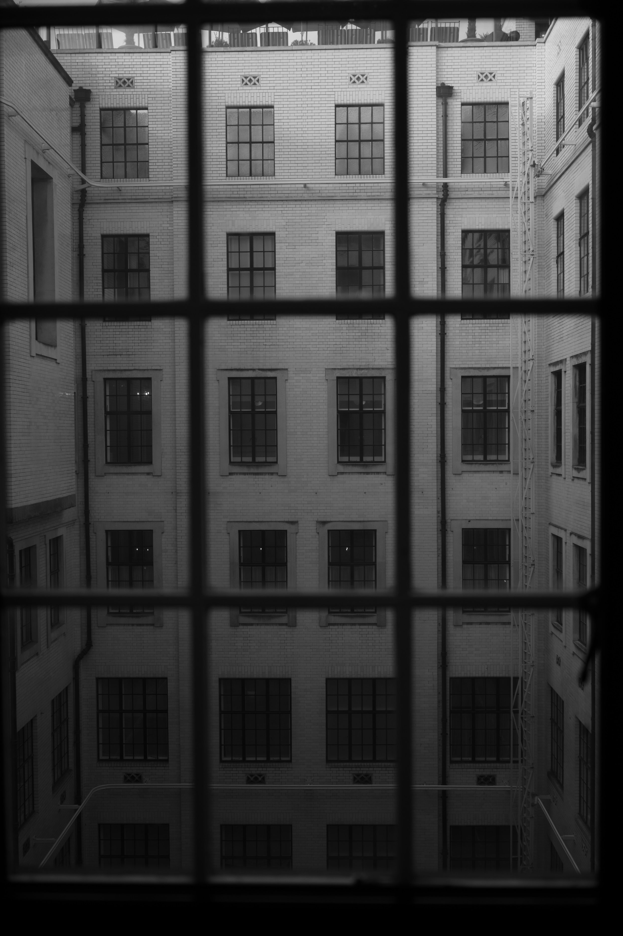 ROSALIE VOORTMAN - STEFANI & EDOUARD-21.jpg