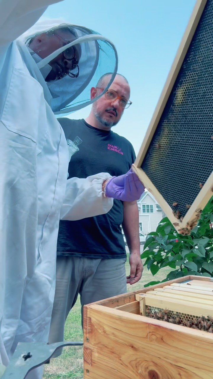 One hive. Two queen losses. Laying workers. Failed queen cells. And now… maybe a comeback?
Come see what I saw—and whether this hive finally has a ruling queen. @blackgirlbythesea
#beekeepinglife #queenbee #layingworker #backyardbeekee