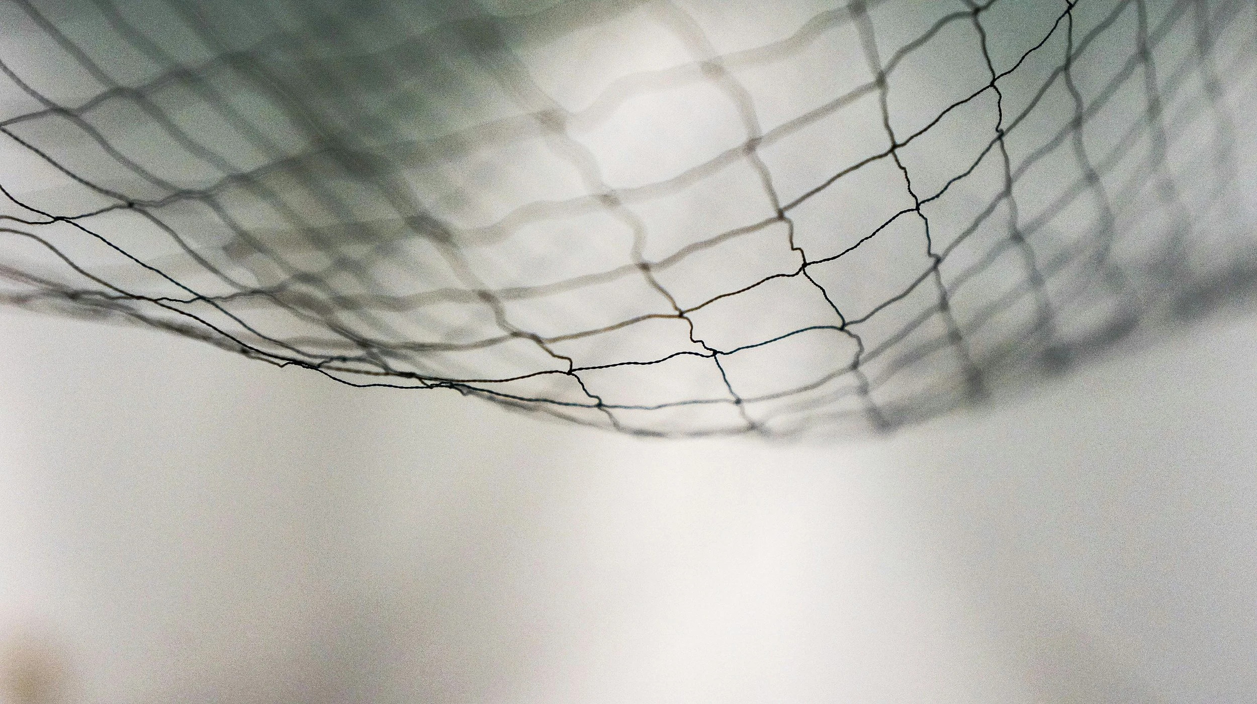 unsplash-image-pP7EgaYDRKg.jpg