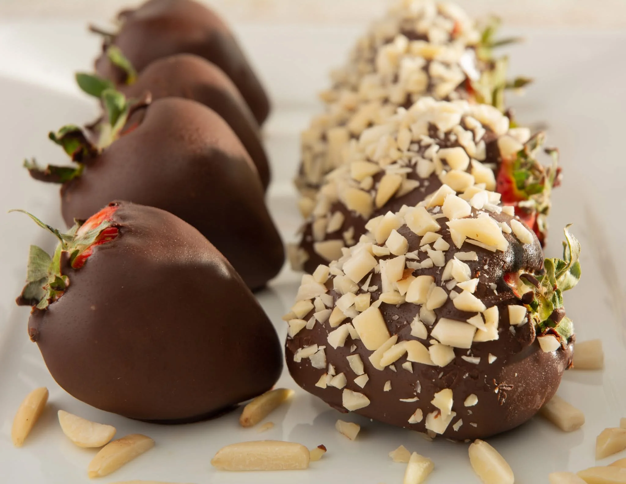 professional donuts 2.jpeg