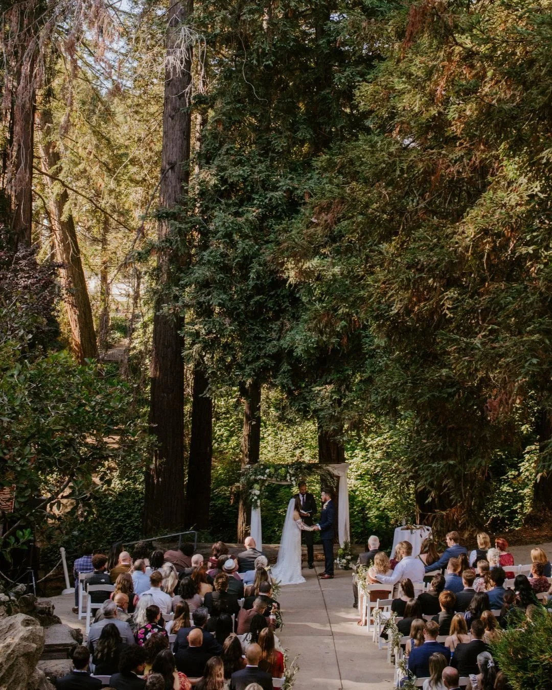 Among the redwoods in Piedmont California with the Loves ✨ a true dream day!