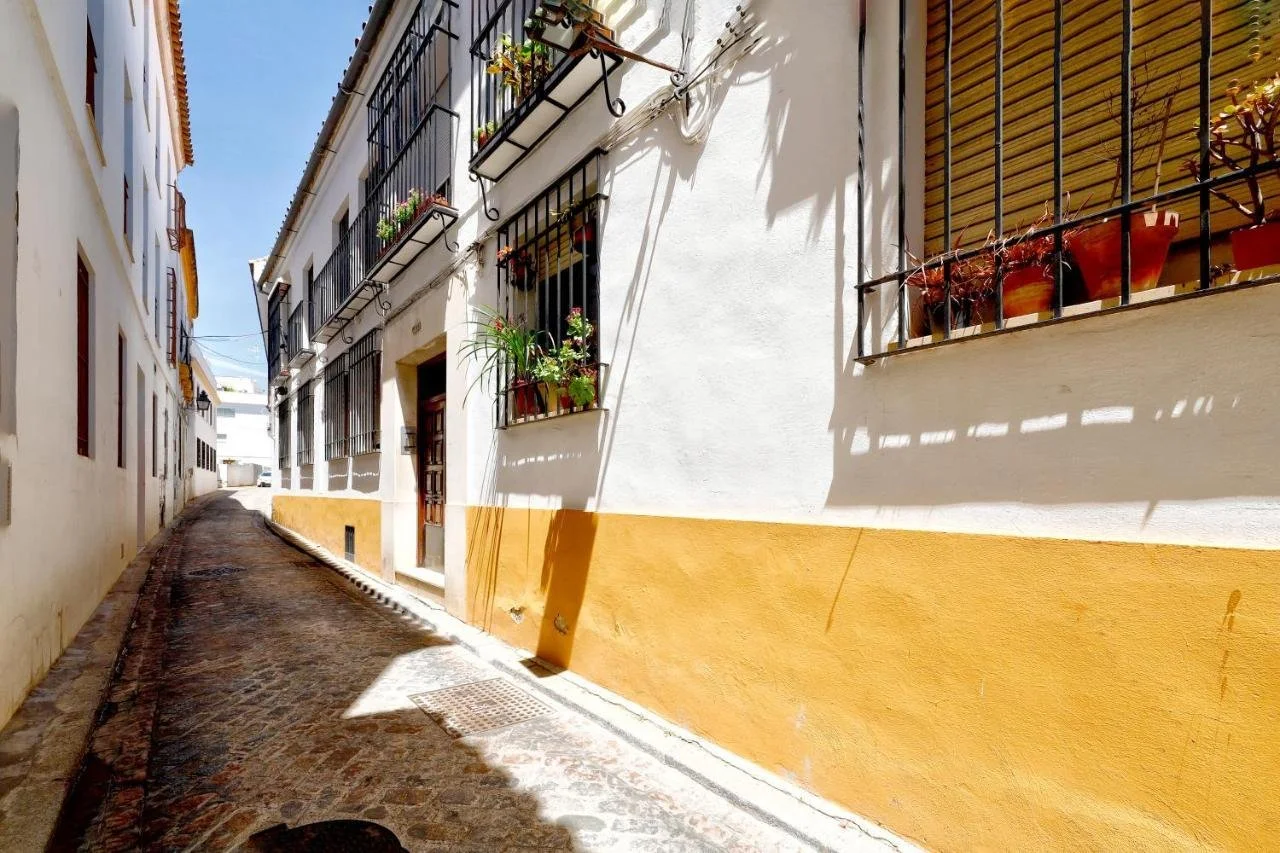 tejon-y-marin-nuevo-apartamento-en-casco-antiguo-cordoba-photo-4.jpeg