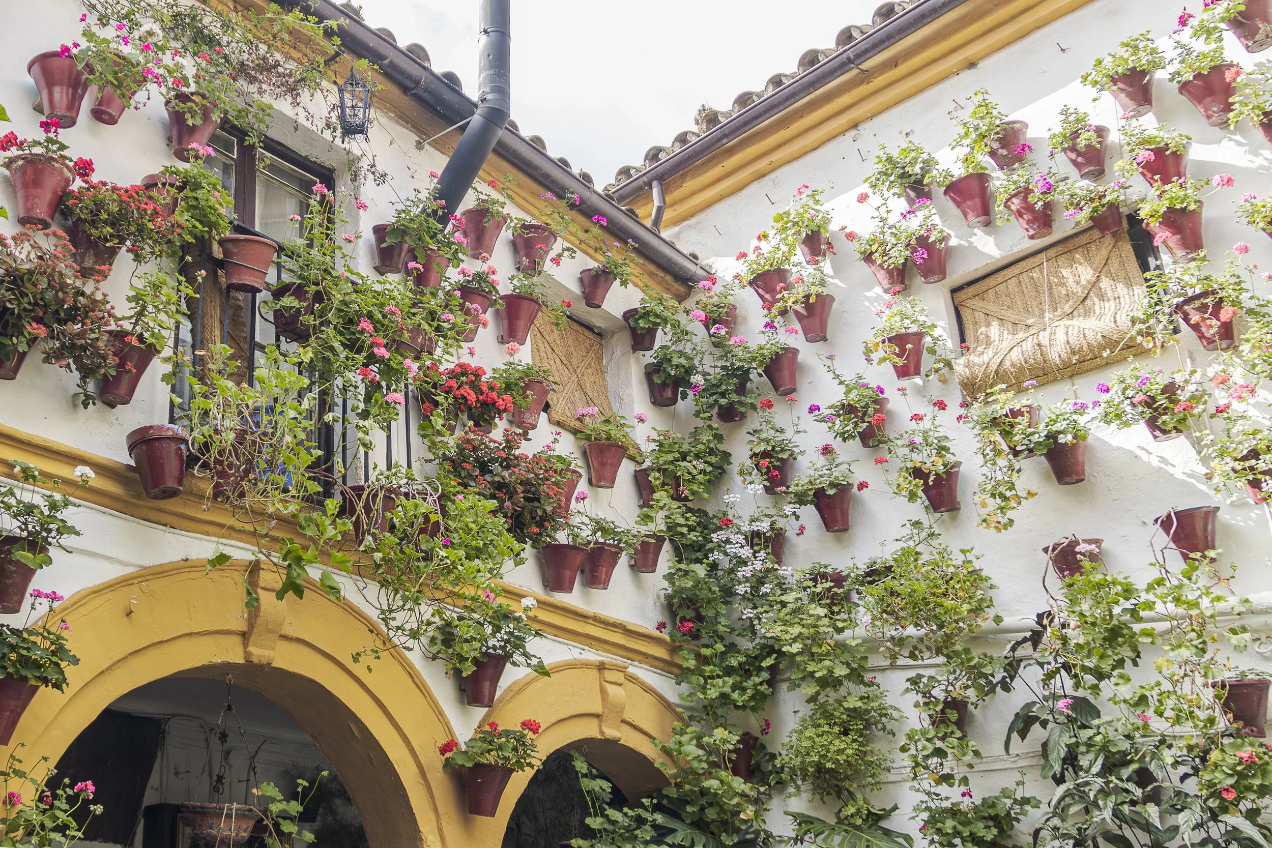 cordoban-patio-spring-crdoba-spain.jpg