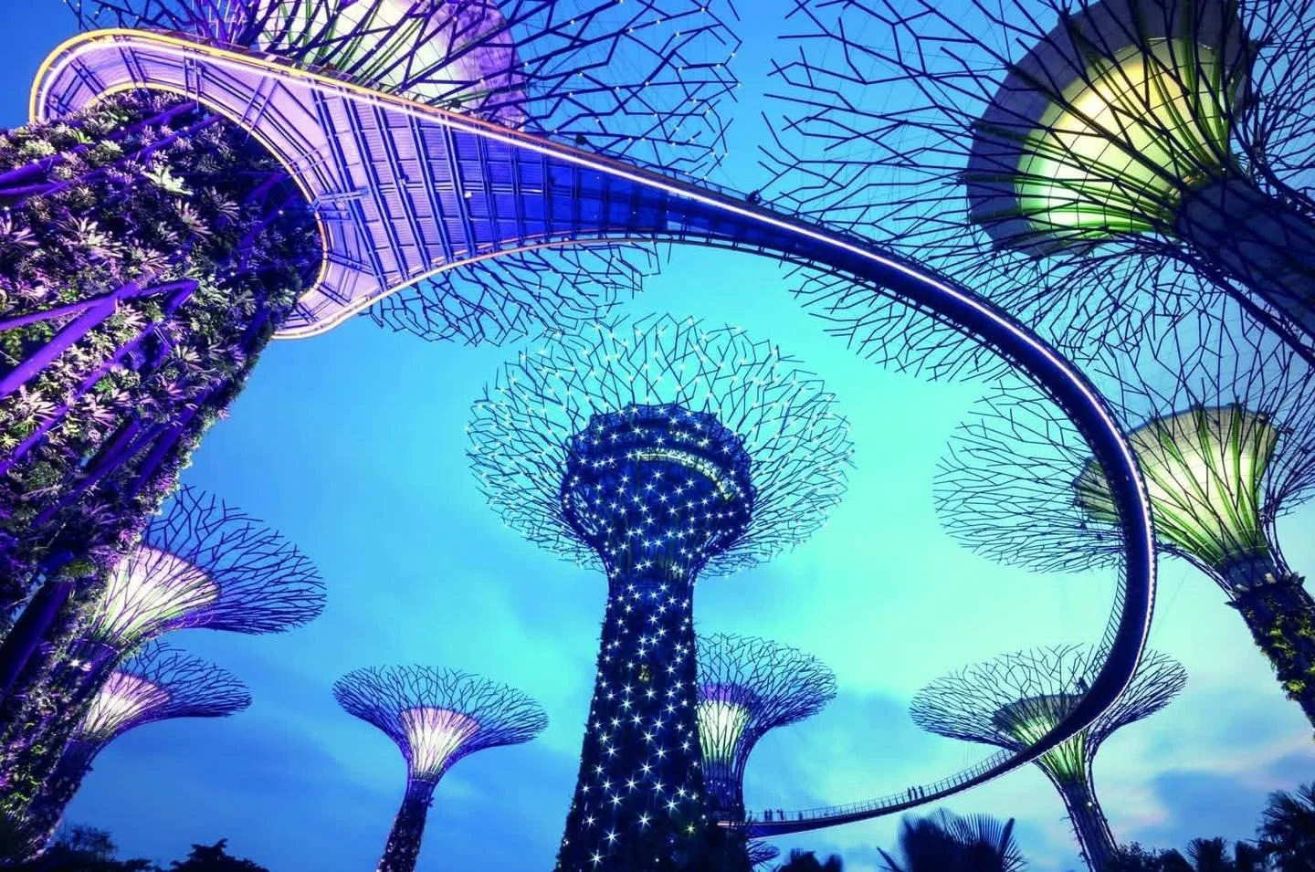 𝗦𝗜𝗡𝗚𝗔𝗣𝗢𝗥𝗘 🇸🇬 + 𝗡𝗘𝗪 𝗭𝗘𝗔𝗟𝗔𝗡𝗗 🇳🇿 𝗠𝗨𝗟𝗧𝗜-𝗖𝗘𝗡𝗧𝗥𝗘 𝗔𝗗𝗩𝗘𝗡𝗧𝗨𝗥𝗘 ✨🚗

From just &pound;3,129pp 🌏

Experience the perfect blend of vibrant city life and breathtaking scenery with this incredible Singapore &amp; New Zeal