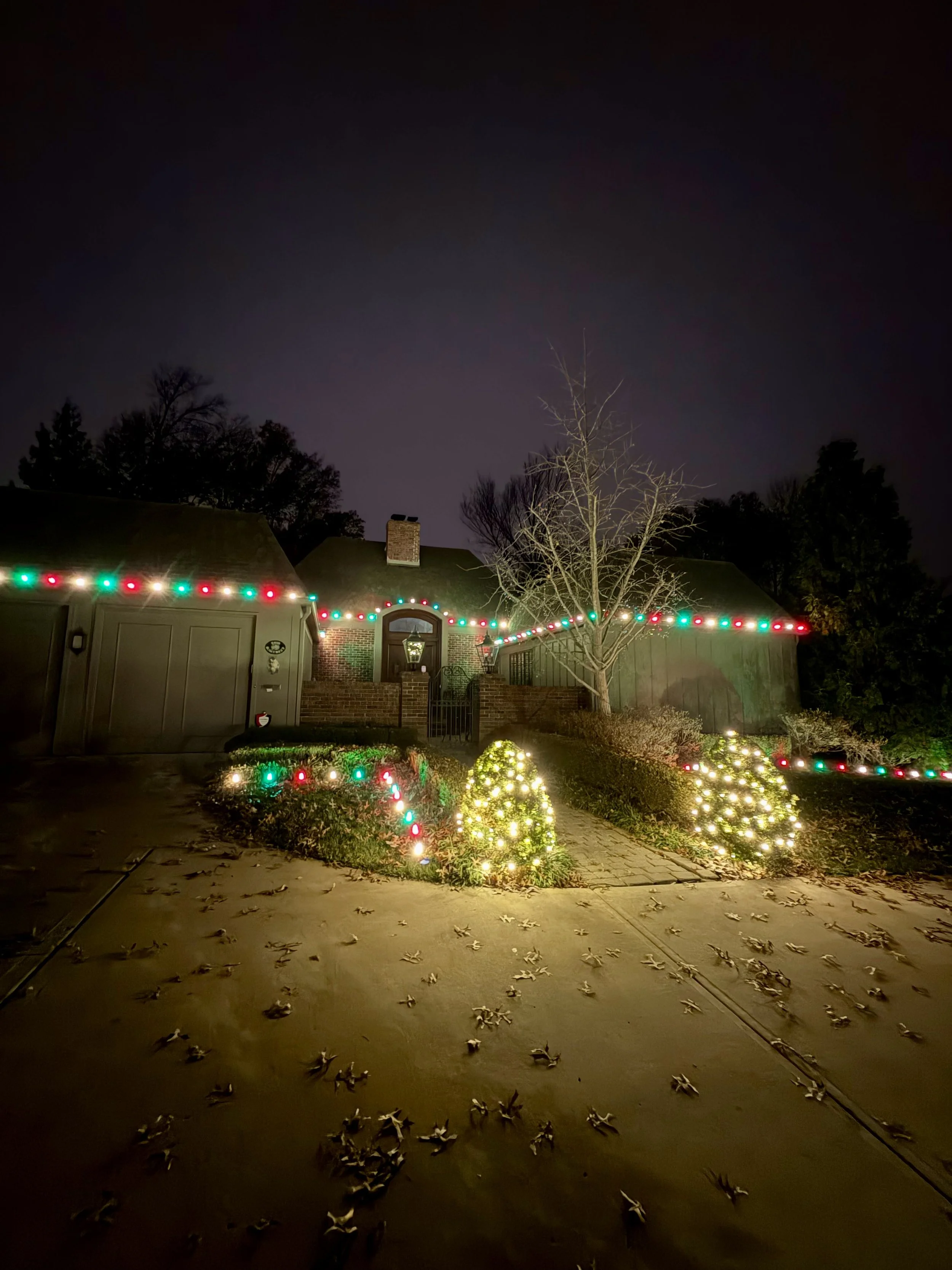 red green and warm white christmas lighting on roofline and ground with warm white lights wrapping around the bushes 