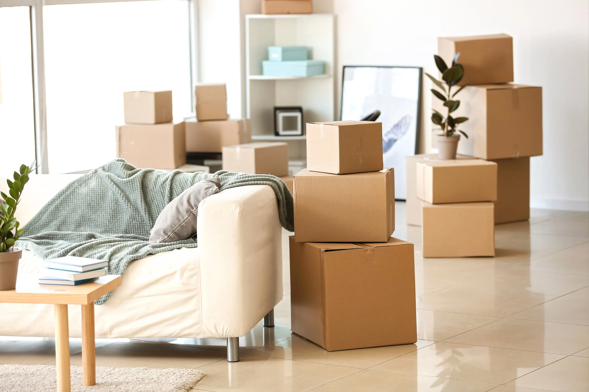 Living room with cardboard boxes, a sofa with blankets and pillows, potted plants, and a bookshelf with framed pictures inside.