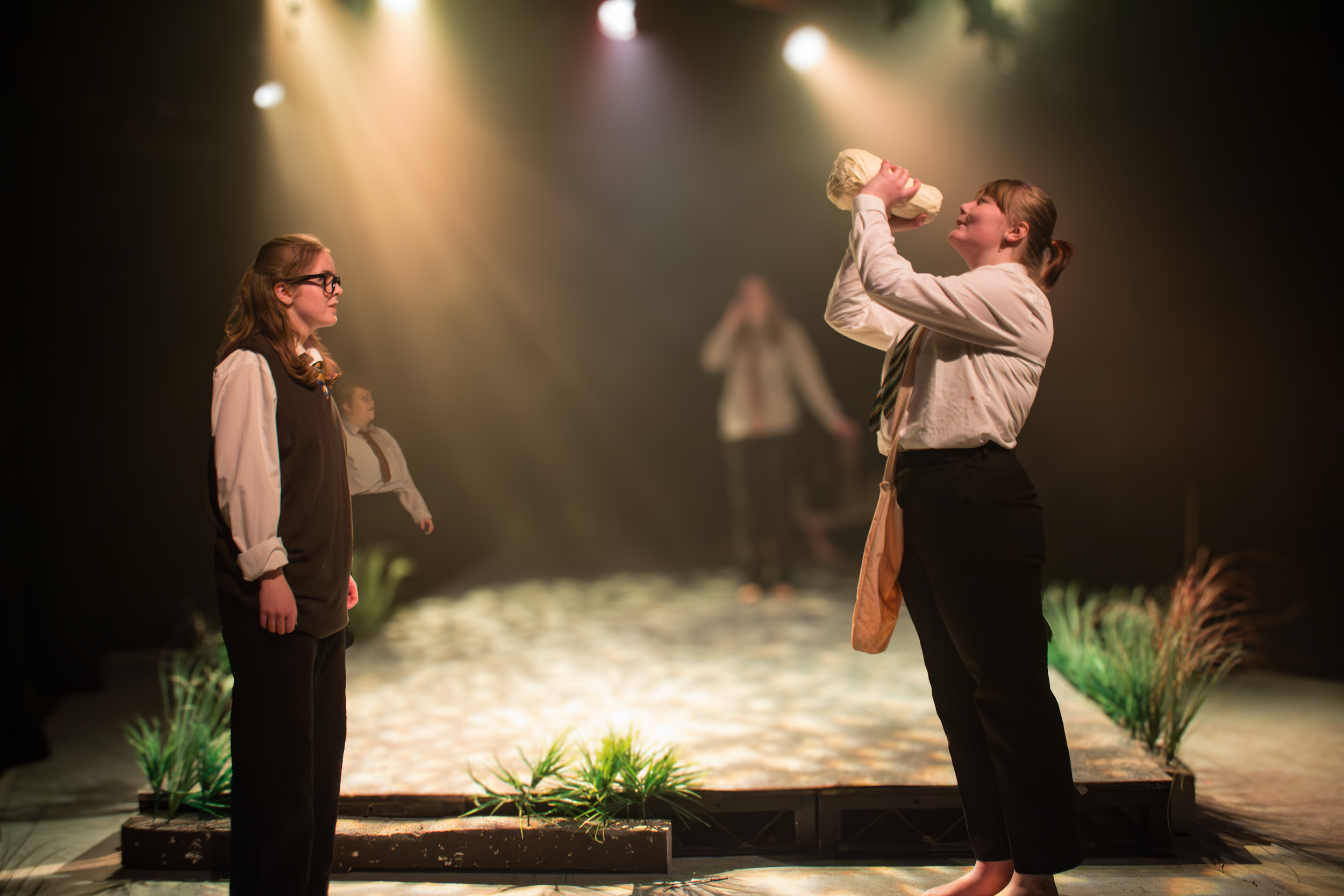 Lord of the Flies by Nigel Williams