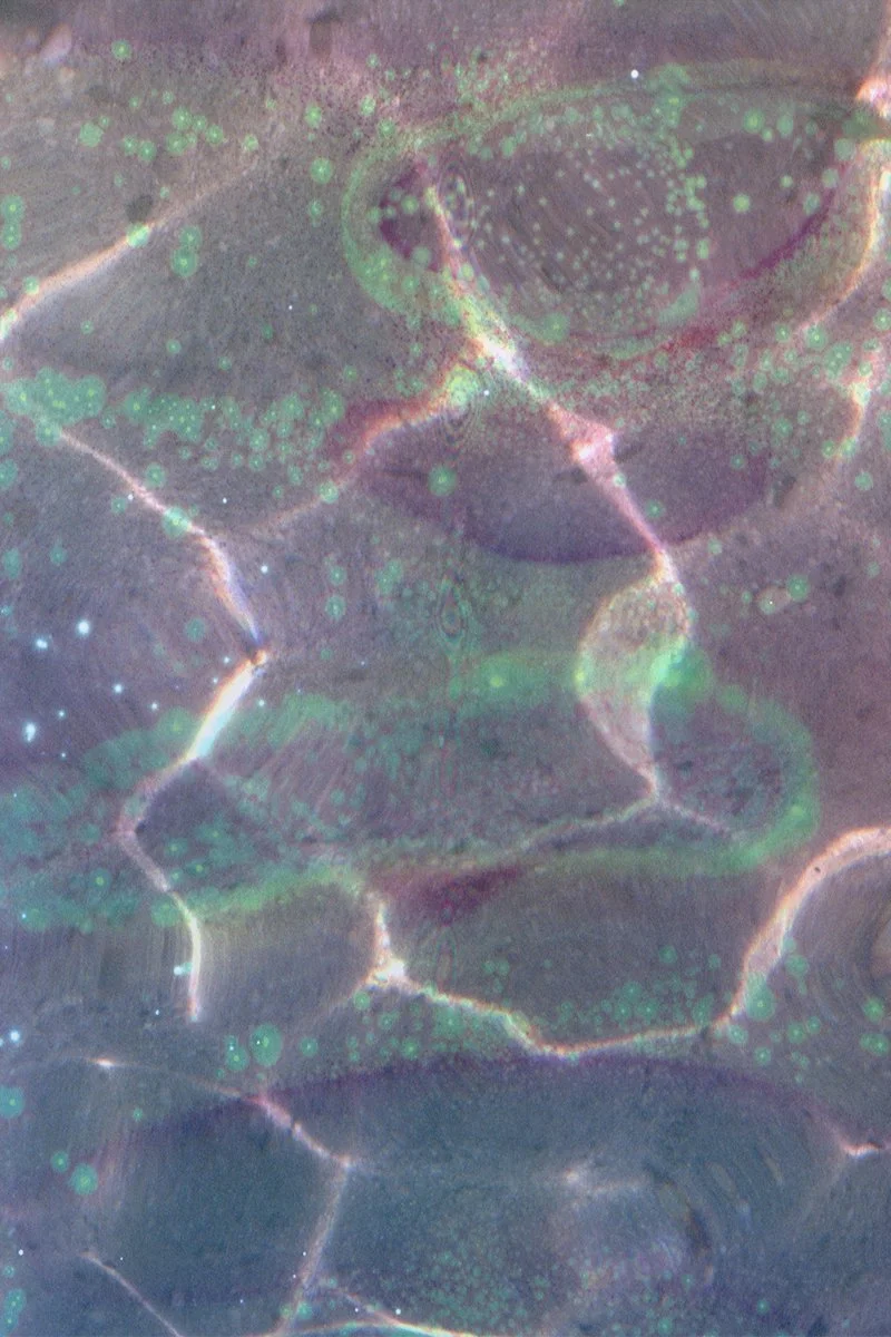 Otherwordly - Reflections map.jpg