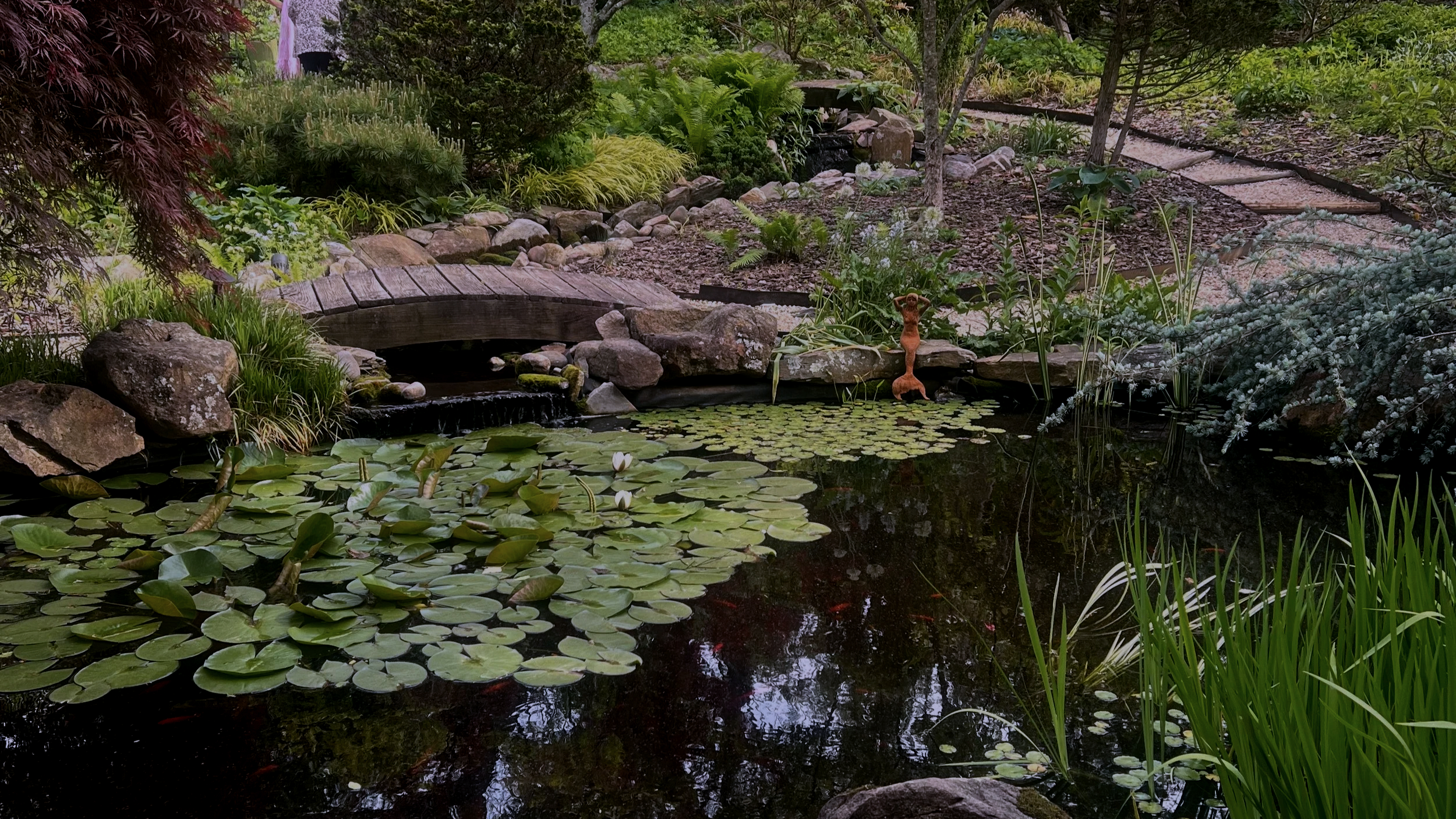 Garden on Main pond