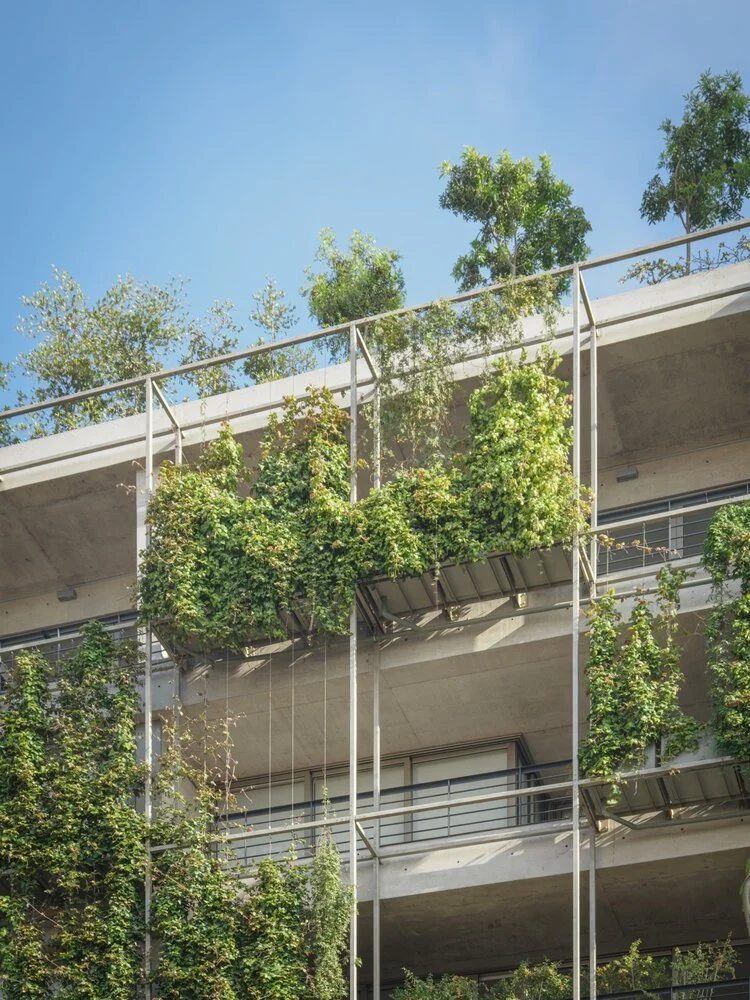 Edificio moderno con paredes de concreto y balcones, cubierto de plantas verdes y enredaderas, con cielo azul al fondo.