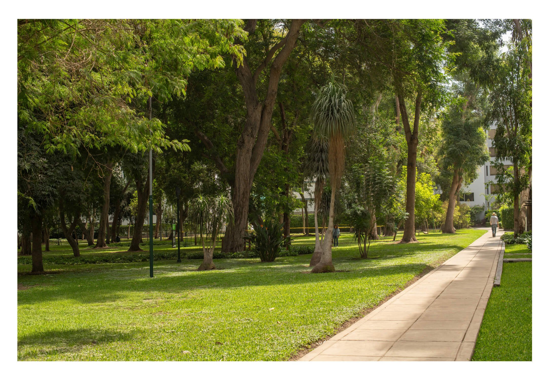 Parque con árboles grandes, césped verde y caminito pavimentado, personas paseando.
