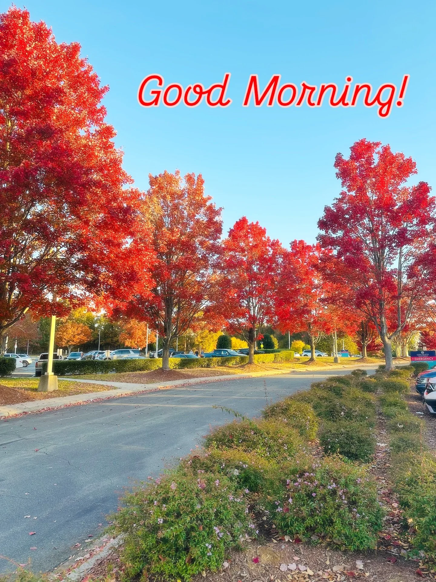 Early morning site visits at a hospital have their perks just like catching the trees dressed in their fall colors. 🍂 

There&rsquo;s something about the crisp air, the swirl of leaves, and the quiet beauty of autumn that fills me with pure joy and 