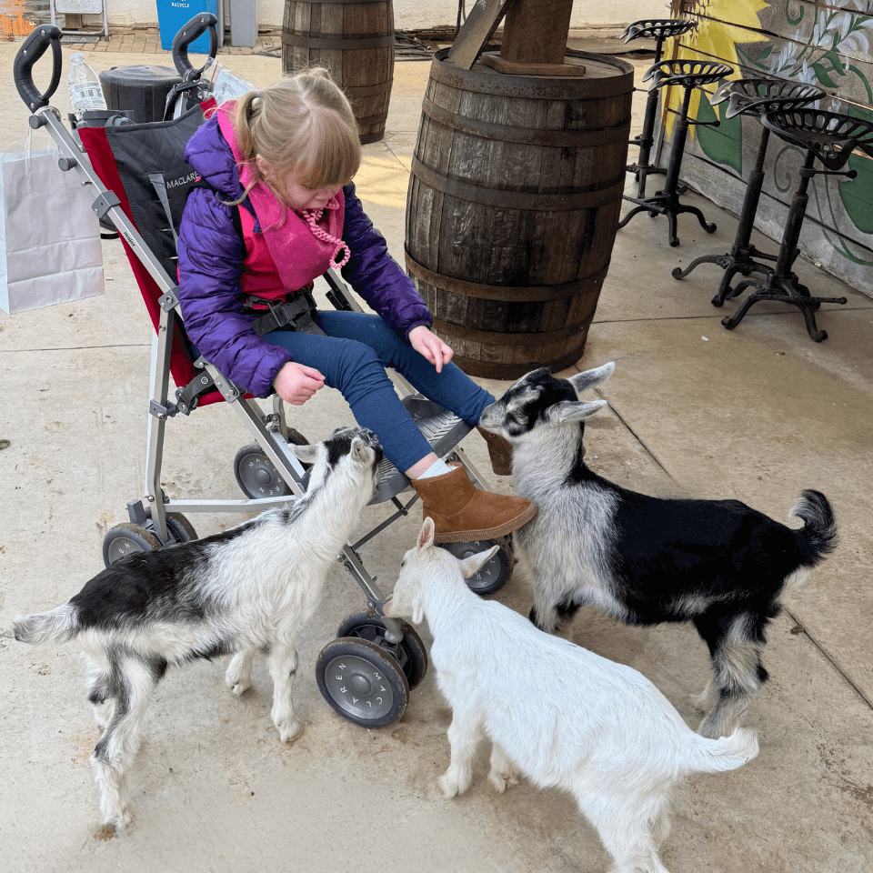 Spencer Enjoys Time With Scout The Goat.png