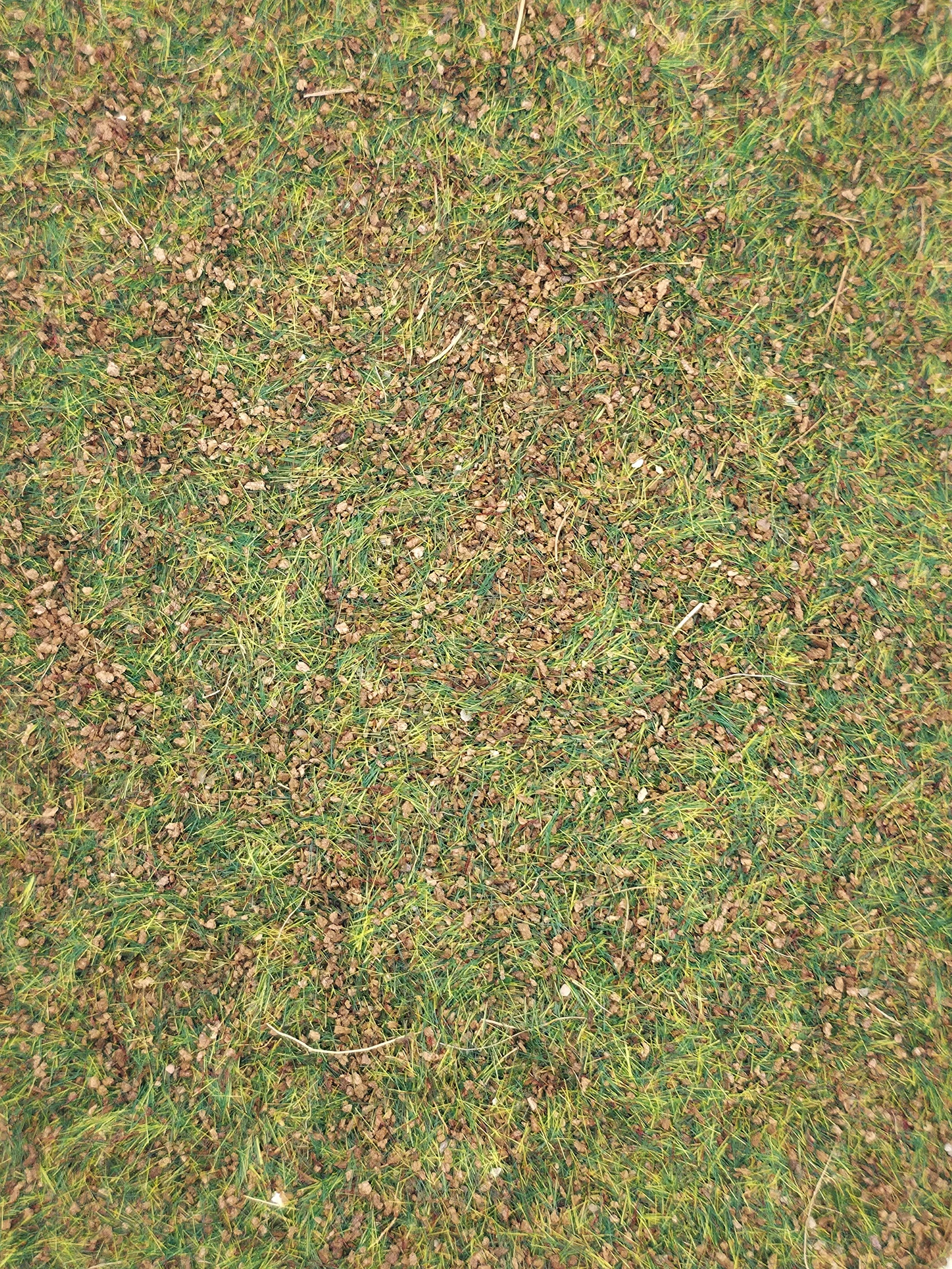 Grass Lands