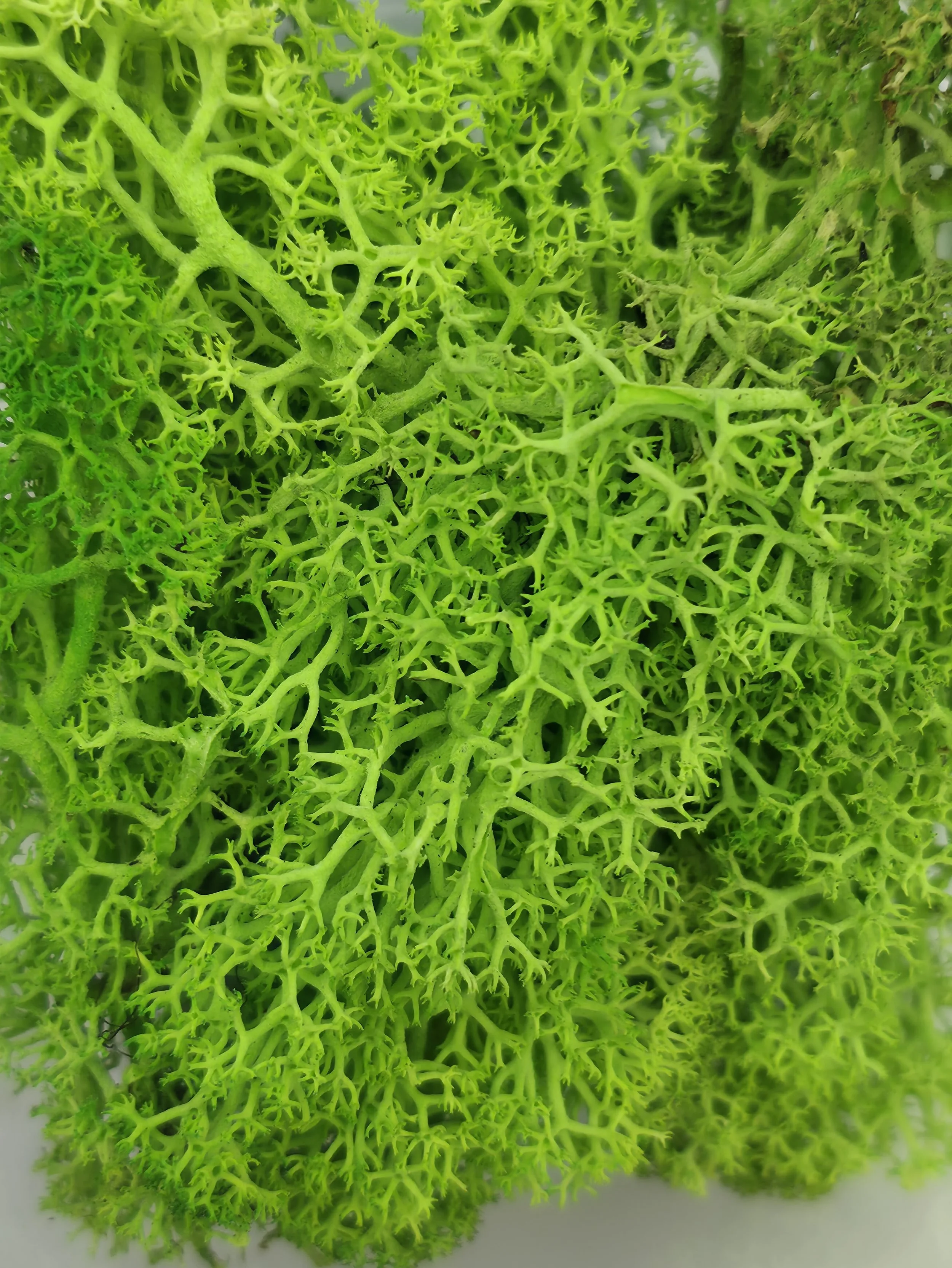 20260901_144840.jpg