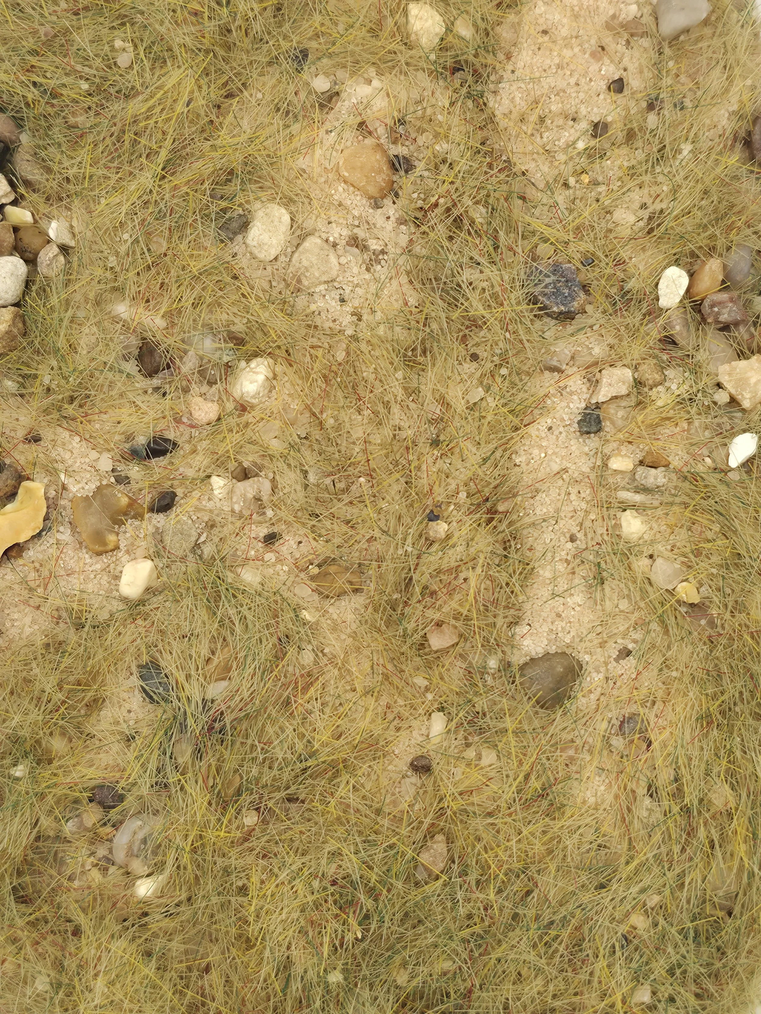 Parched Ground